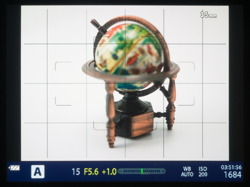 フォーサーズレンズ装着時のファインダー内。角の丸いカギ括弧の範囲が位相差検出AFのエリア。