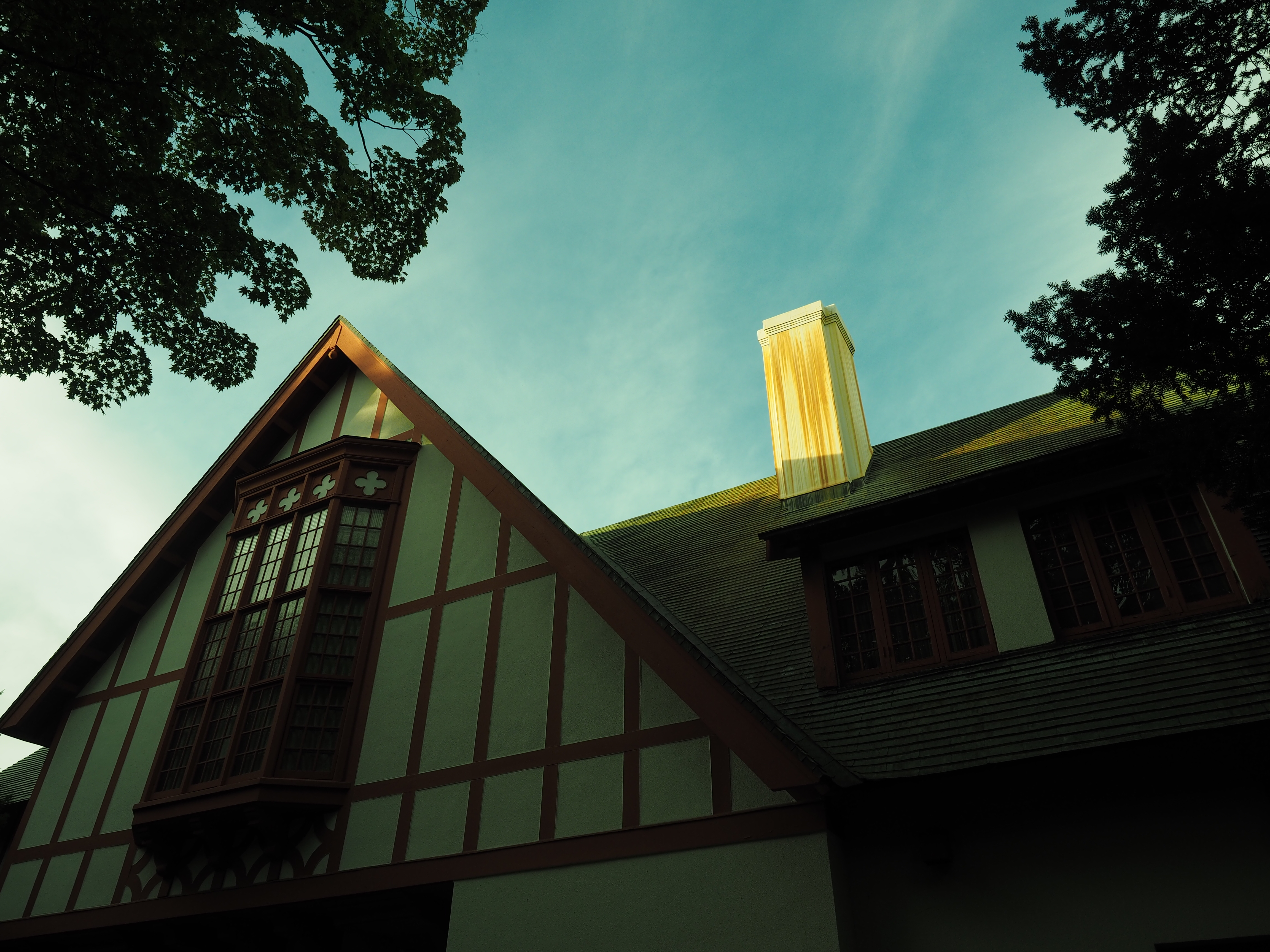 色相：＋25　彩度：0