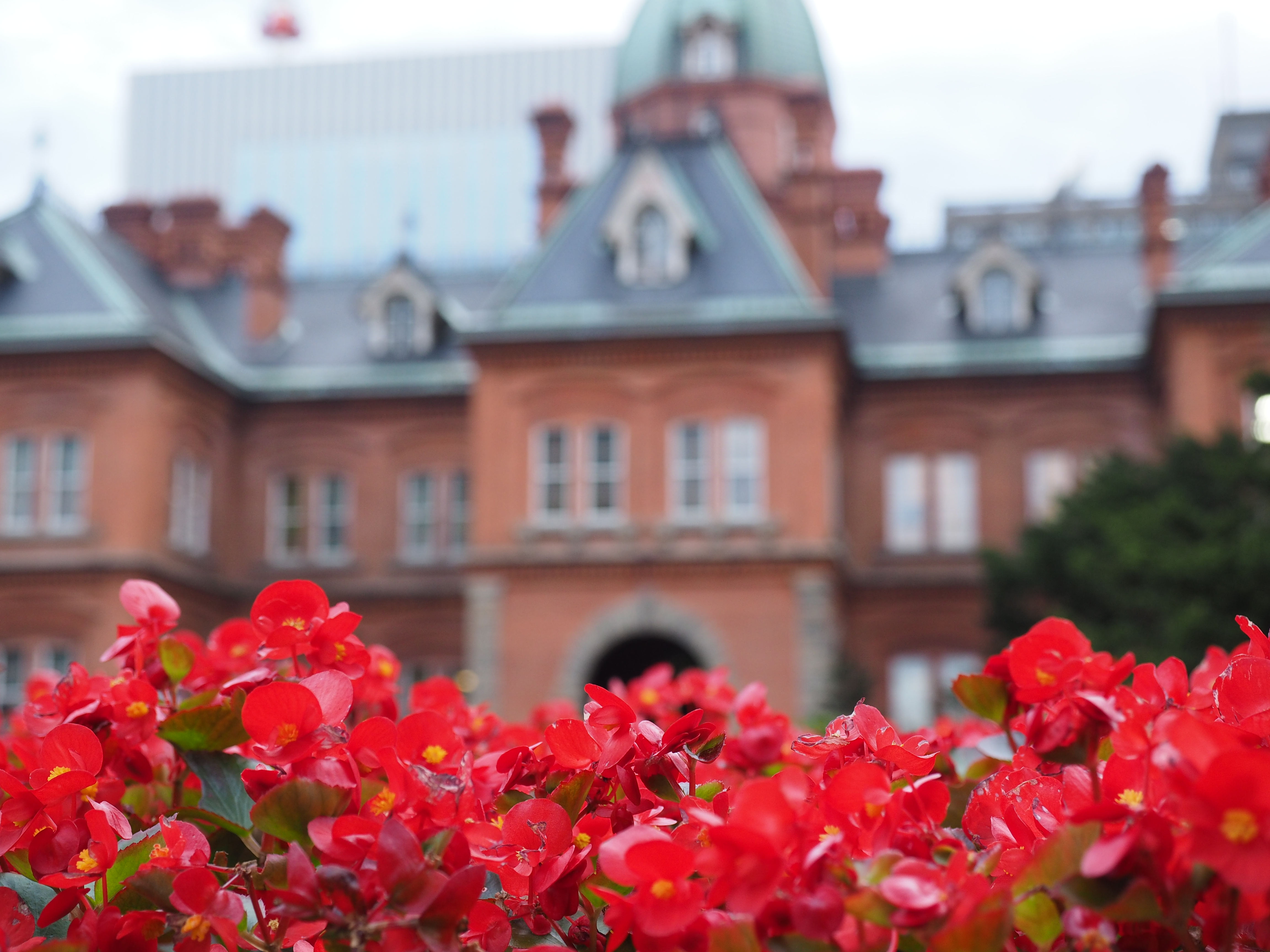 上下可動式のモニターは横位置では便利なのだけれど、縦位置にも対応できるバリアングル式が欲しい。横位置で撮ってて言うのもなんですけど。 / E-M1 / M.ZUIKO DIGITAL ED 12-40mm F2.8 PRO / 4,608×3,456 / ISO400 / F4 / 1/80秒 / 30mm