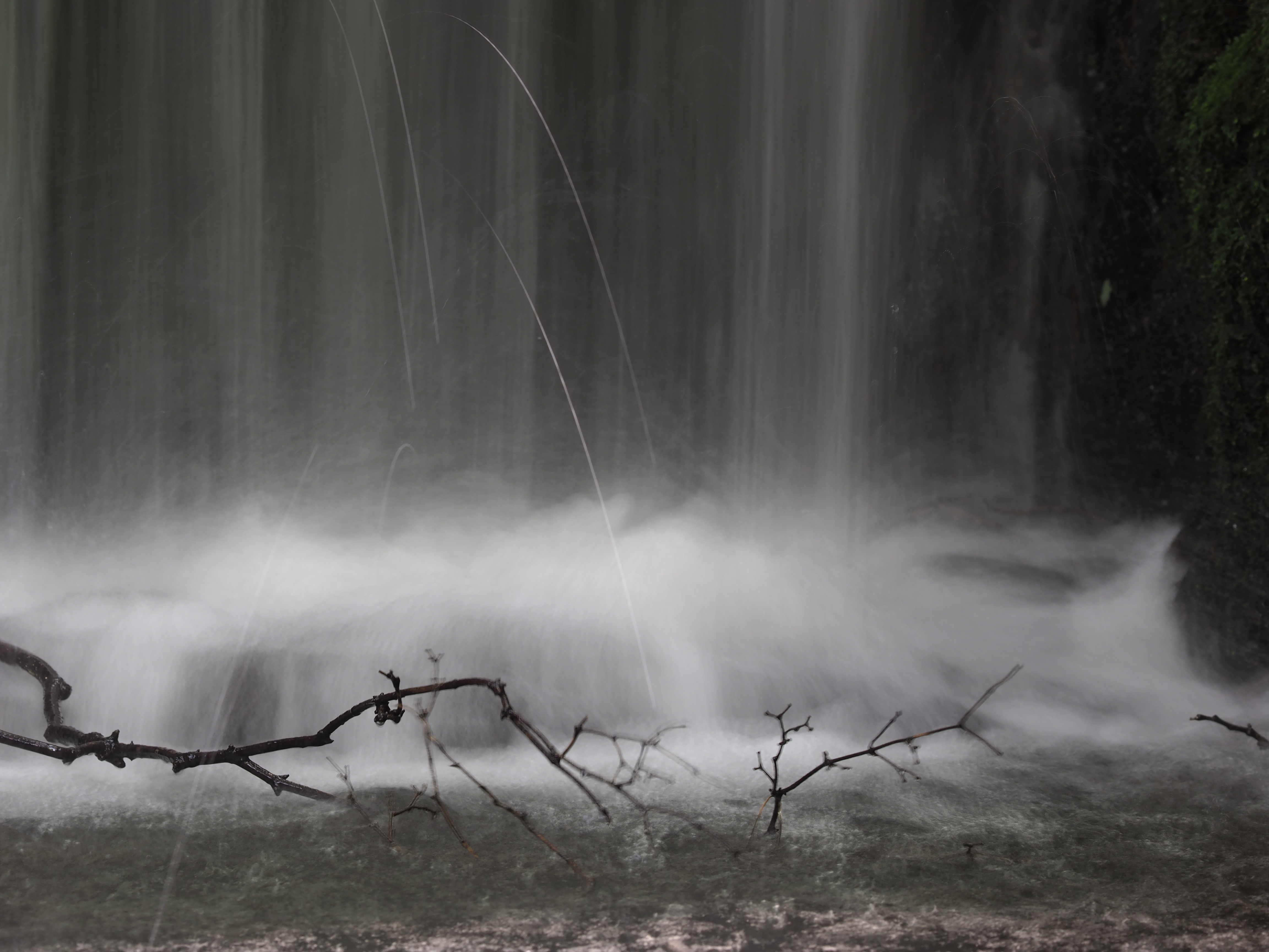 E-P5の長期レポートで借りて使ったときより、本機との組み合わせのほうがAFの動作はなめらかで速い。 / E-M1 / ZUIKO DIGITAL ED 50-200mm F2.8-3.5 SWD / 4,608×3,456 / ISO100 / F8 / 1/3秒 / 147mm