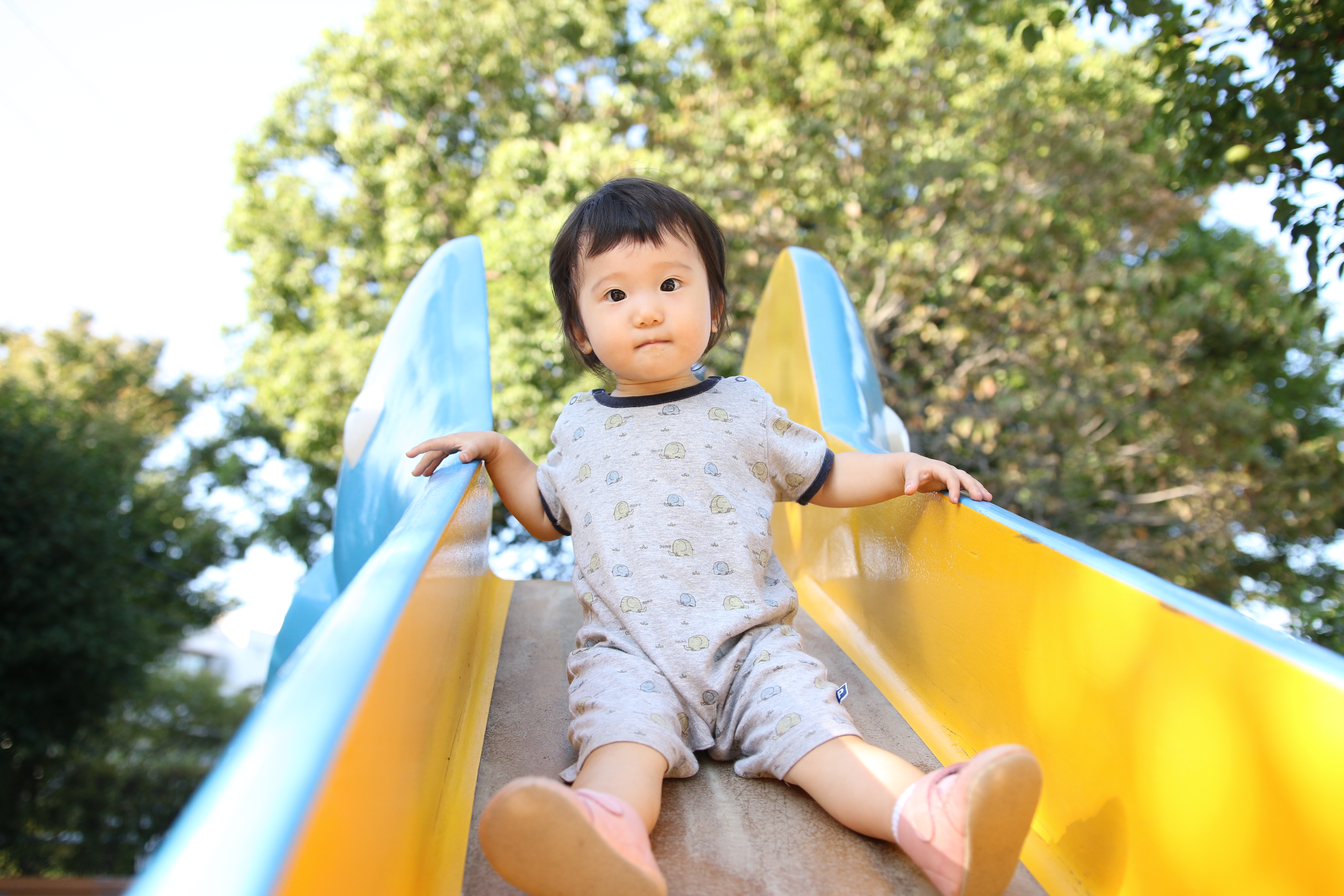 滑り台を降りてくる姿を収めようと連写しました。ワンショットAFではピント位置がわずかにずれることもありましたが、AIサーボAFで何度かチャレンジ。そのほとんどでピントがしっかり合っていて驚きました。EOS 70D / SIGMA 18-35mm F1.8 DC HSM / F2 / 1/1,250 / ISO400 / +1.3EV / 20mm