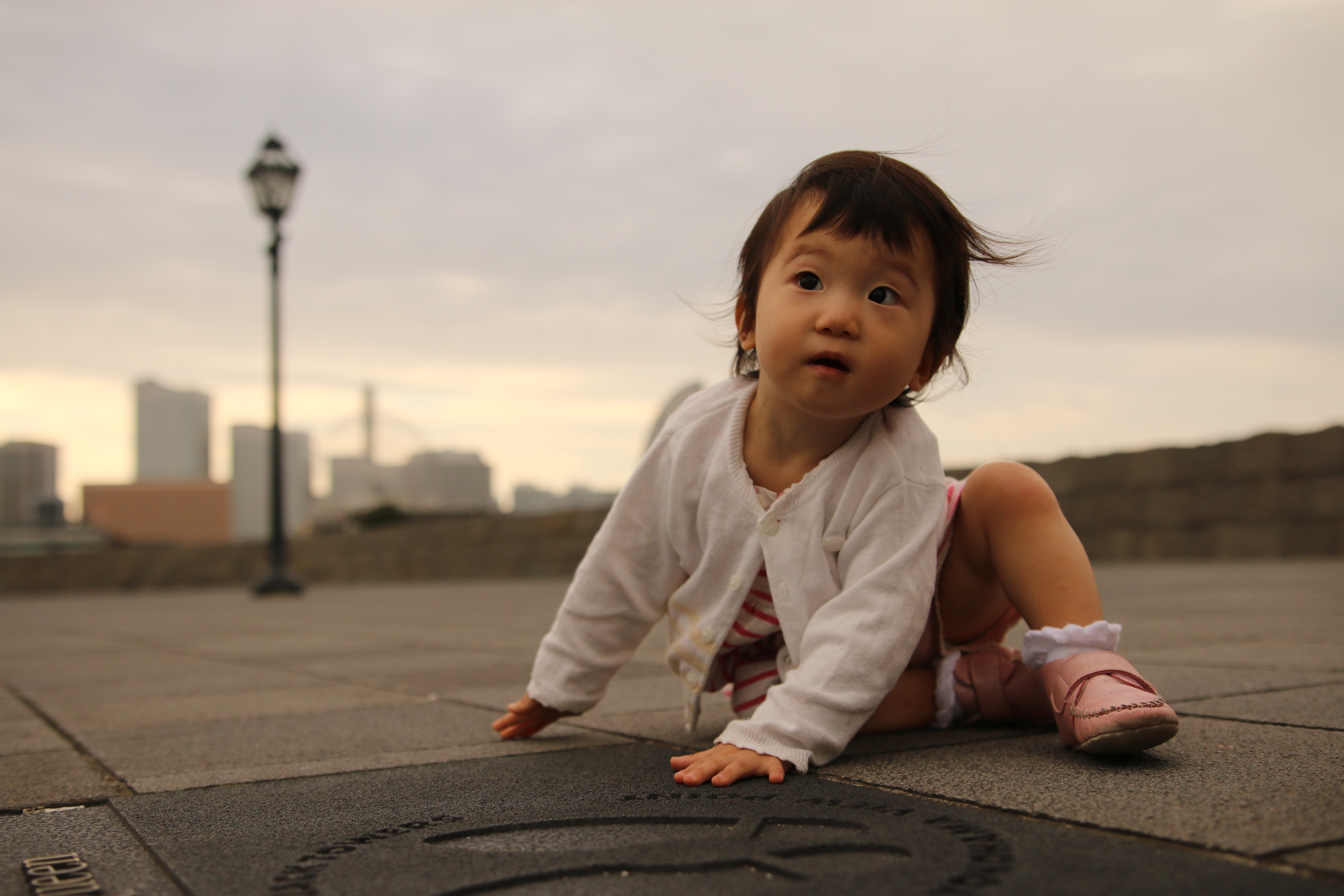 カメラを地面に置くようにして撮っています。しかし、屋外で寝そべるのははばかられるので、可動式液晶モニターを利用して、画面を見ながらフレーミングしました。また、夕方の雰囲気を演出するため、ホワイトバランスを調整して赤味を加えました。EOS 70D / SIGMA 18-35mm F1.8 DC HSM / F2 / 1/2,000 / ISO200 / +0.7EV / 23mm