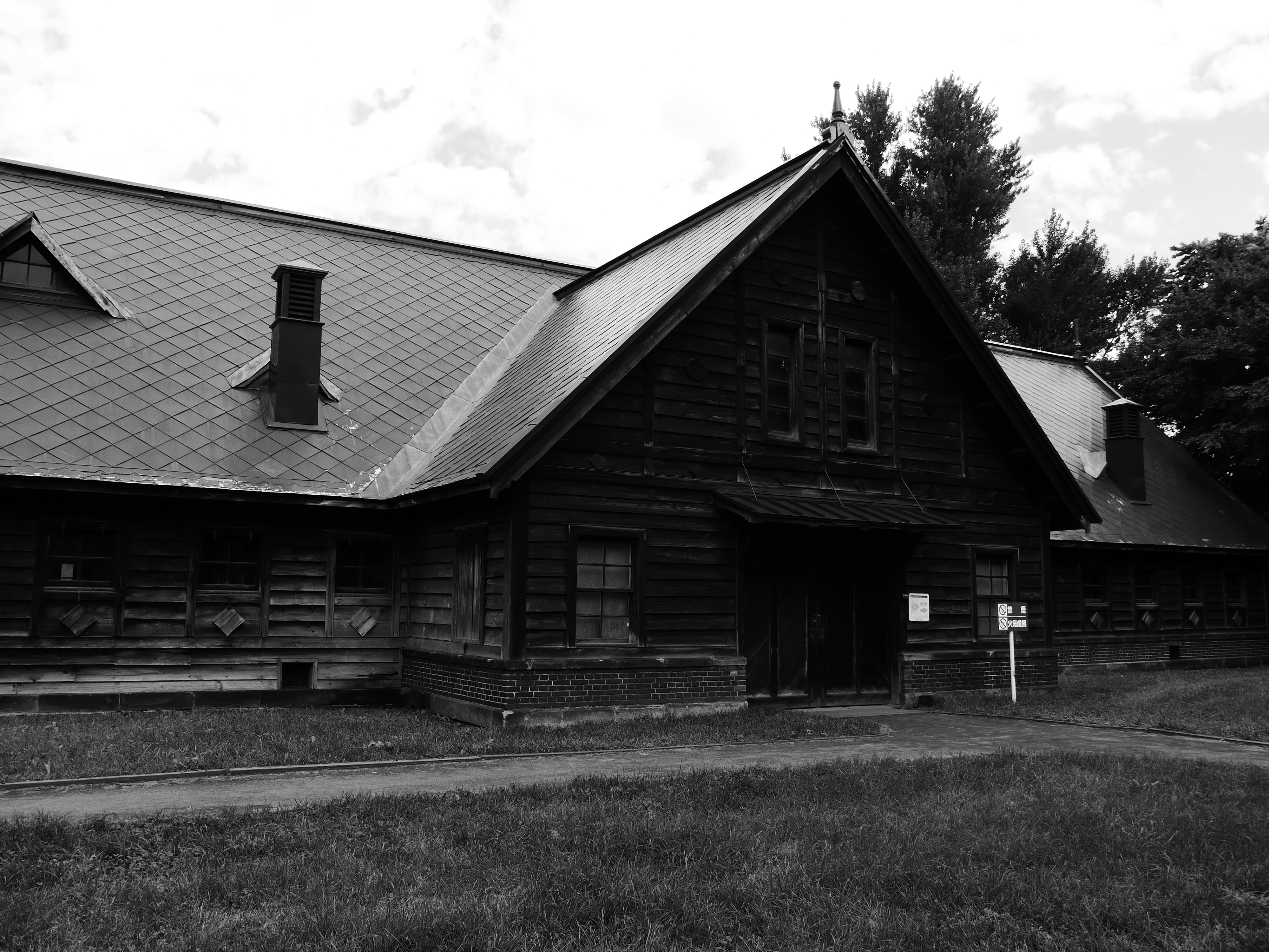 ダイナミックモノクローム