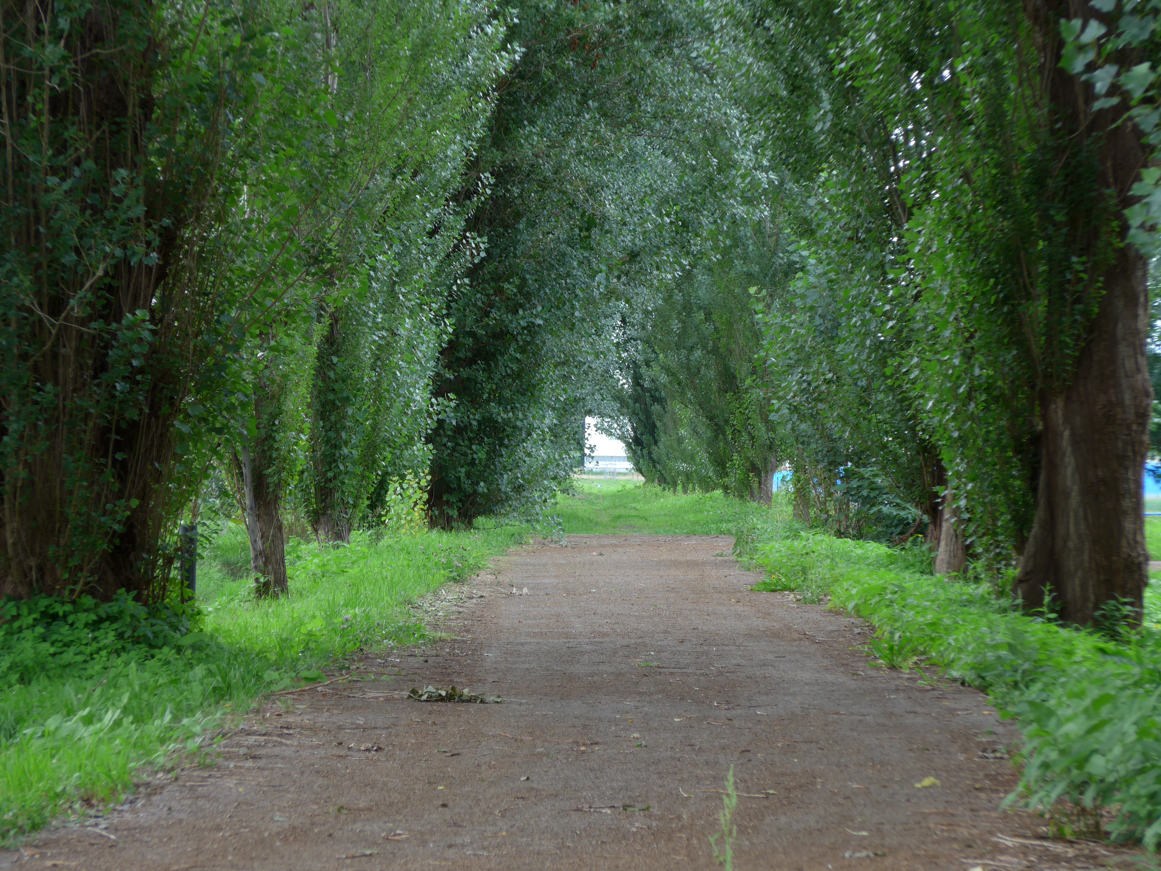 中間域から望遠にかけての周辺部で、画質の劣化が気になるところ。平面的な被写体だと目立つので、風景を撮るときは要注意だ。/ DMC-LF1 / 4,000×3,000 / ISO80 / F5.5 / 1/15秒 / 30.5mm（143mm相当）