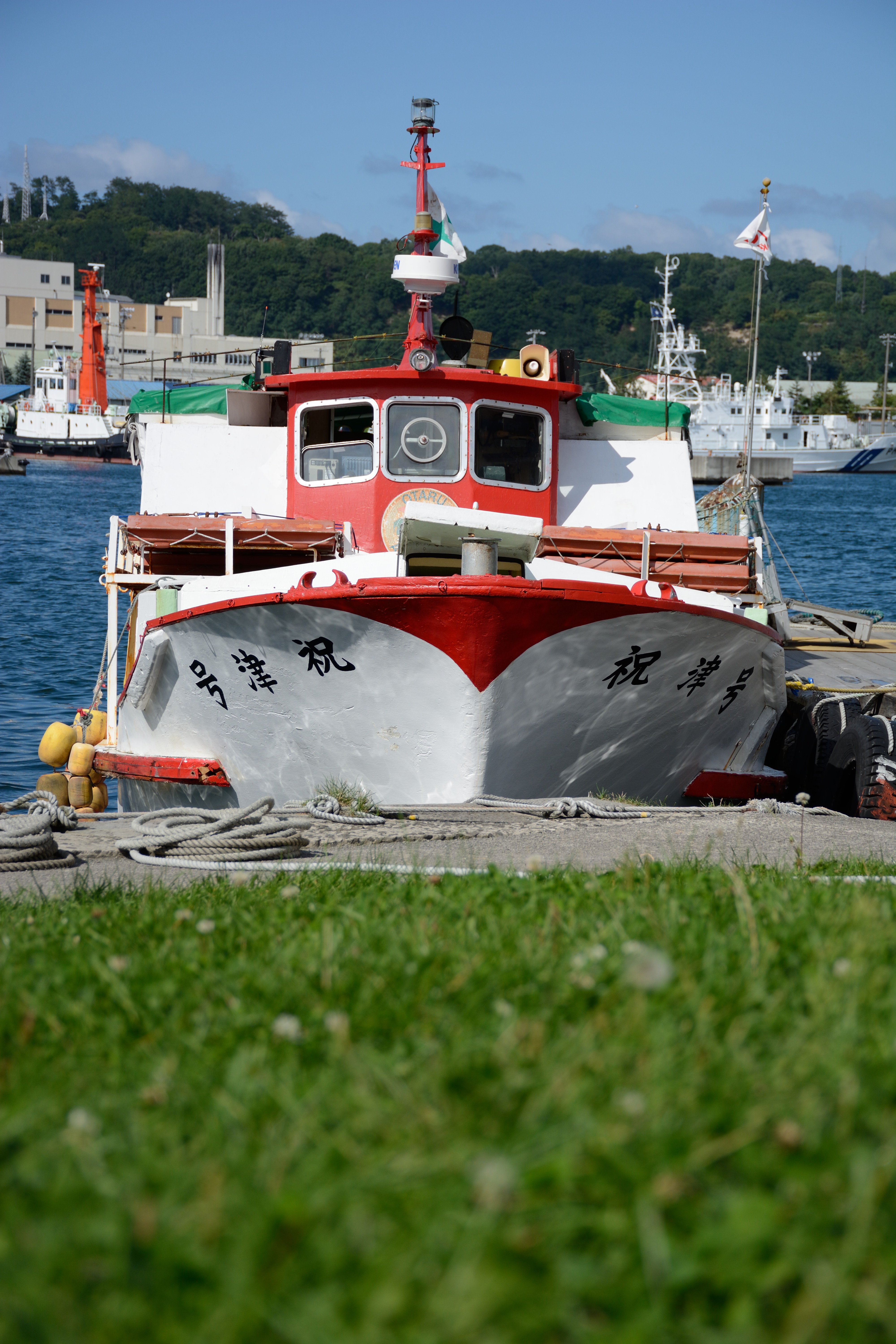 D7100 / 1/800秒 / F5.6 / -0.3EV / ISO100 / 絞り優先AE / WB：オート / 62mm