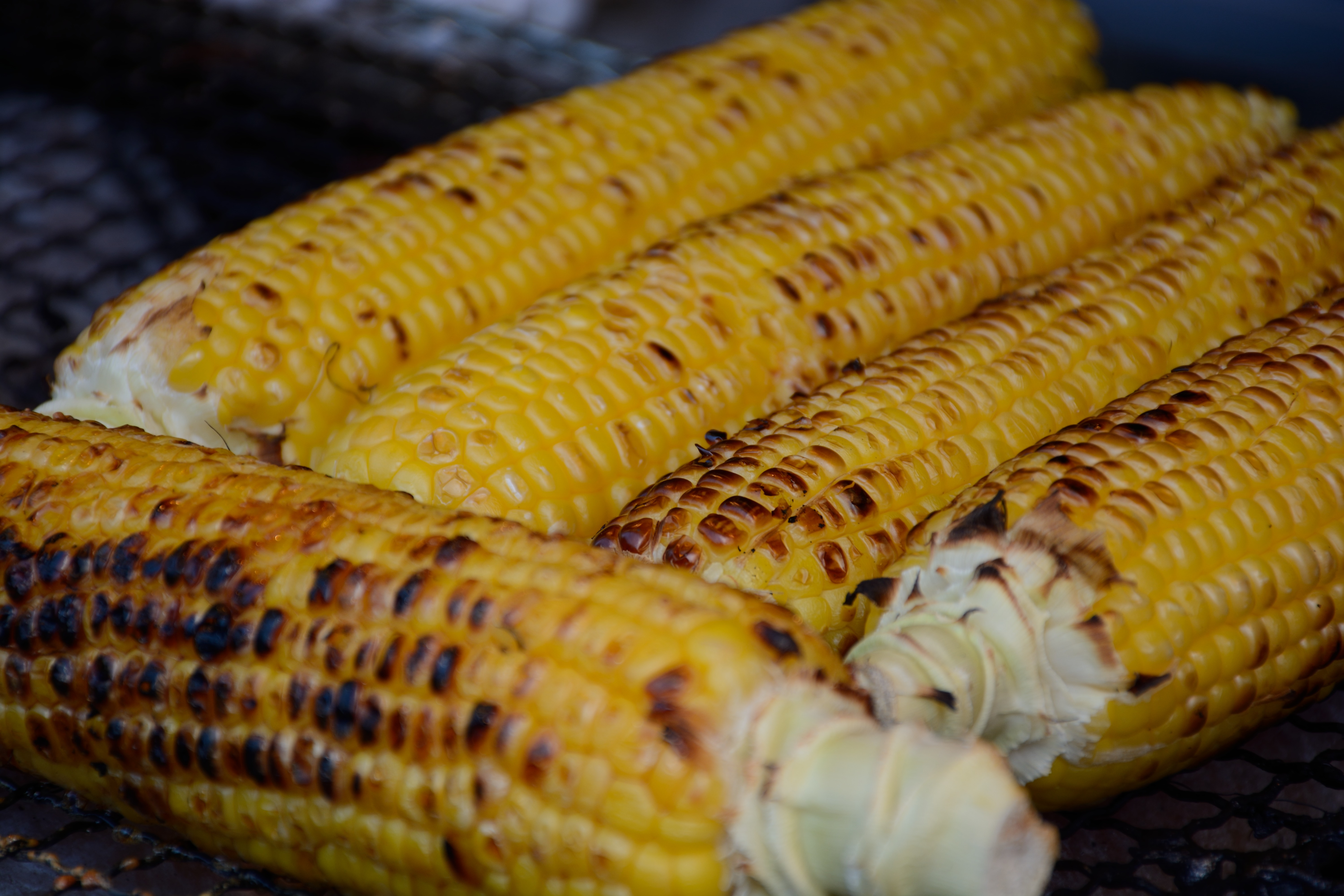 D7100 / 1/125秒 / F5.6 / +0.3EV / ISO100 / 絞り優先AE / WB：オート / 140mm