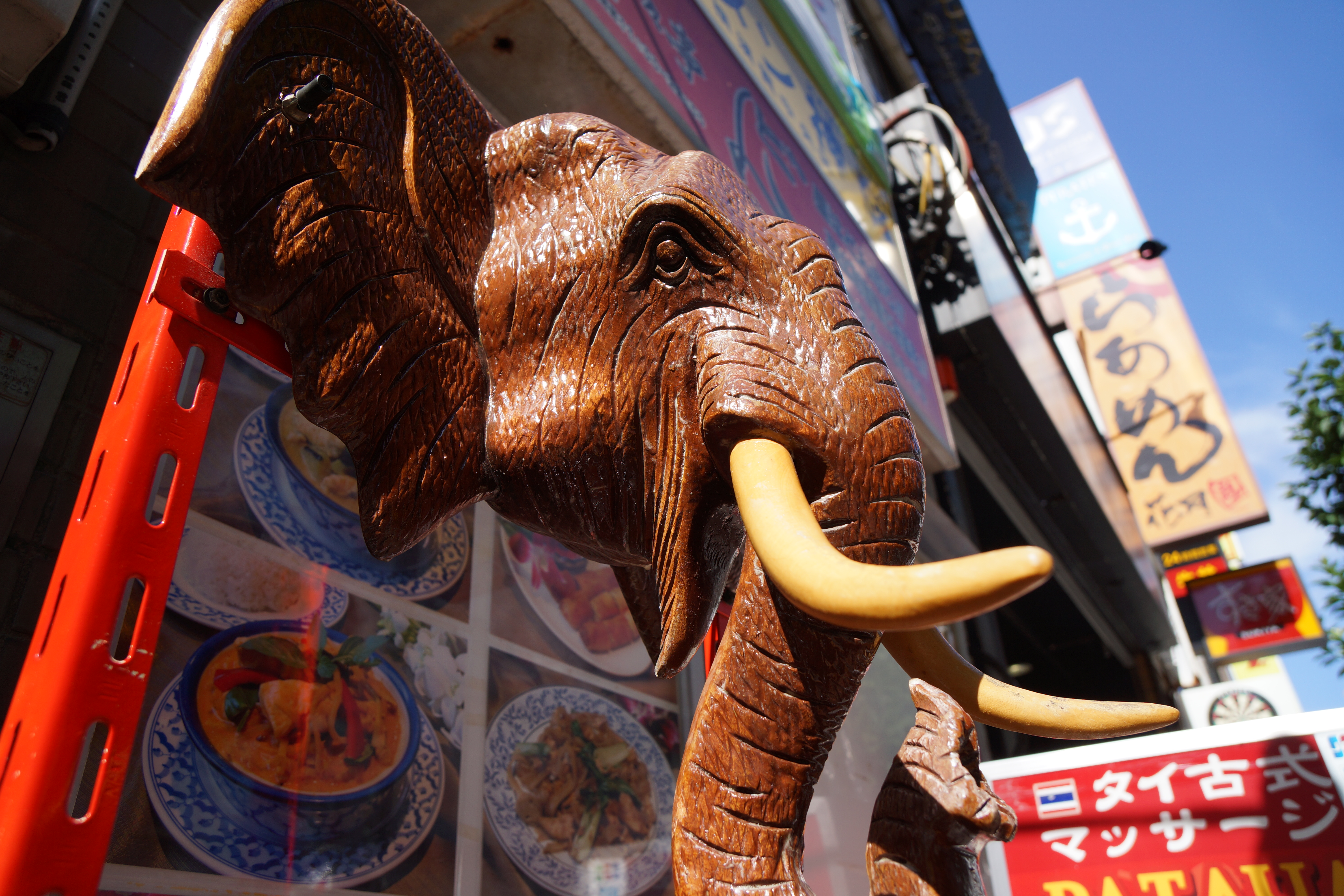 NEX-7 / 1/500秒 / F4.5 / 0EV / ISO100 / 絞り優先AE / WB：オート / 16mm