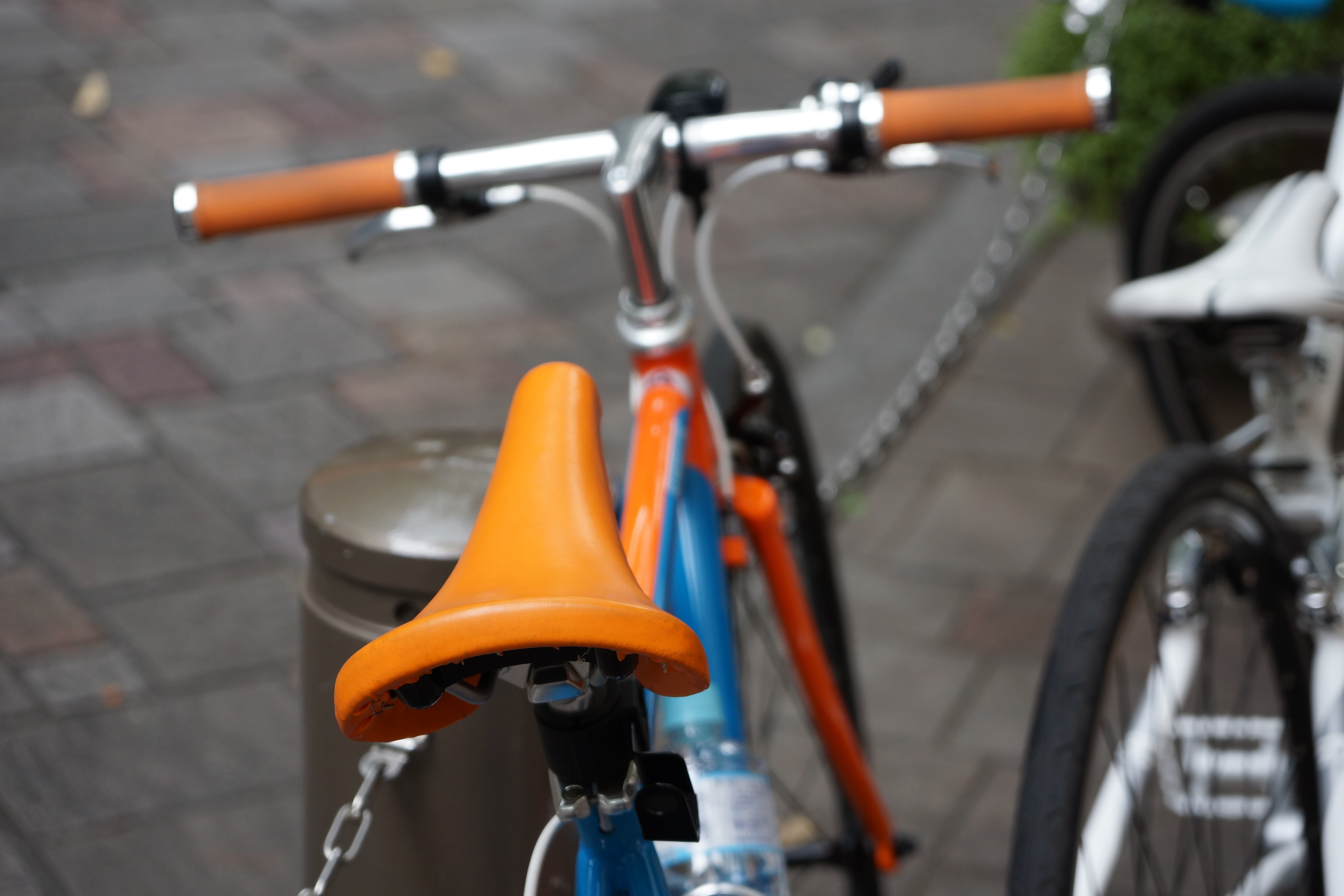 NEX-7 / 1/125秒 / F4 / +0.3EV / ISO250 / 絞り優先AE / WB：オート / 70mm