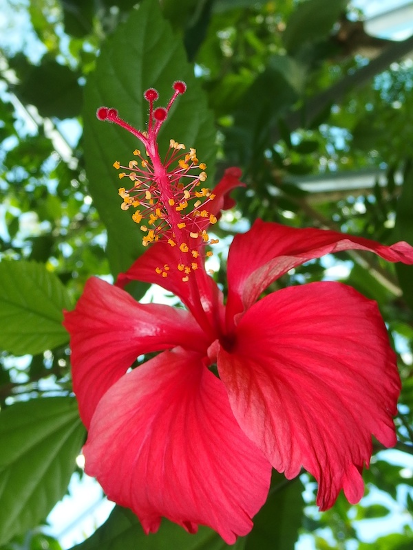 画作りはビビッドか風景モードにして見た目よりもちょっとカラフルにしましょう!