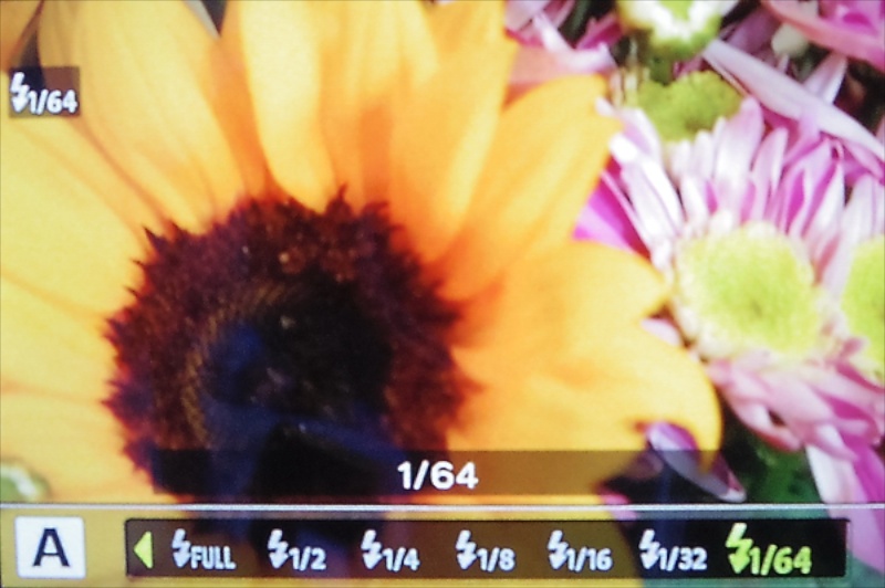 ストロボの光量の調節ができる機種なら白トビ回避も簡単です！