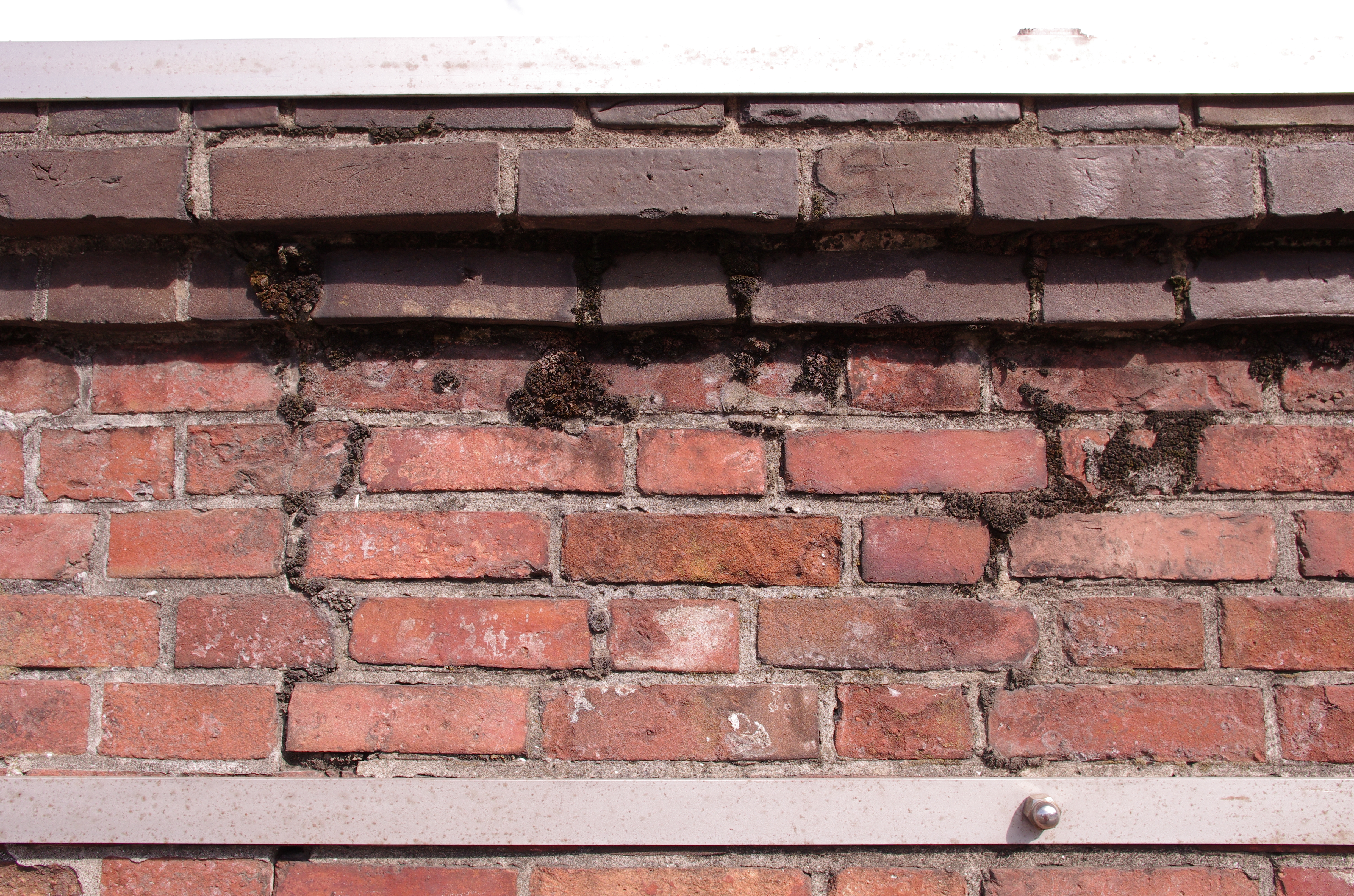 PENTAX K-5 IIs / 1/500秒 / F9 / 0EV / ISO500 / 絞り優先AE / WB：CTE / 15mm