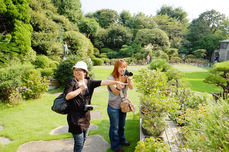 1階のサンルームから庭に出ることができます。庭にはバラが植えられており、秋のバラは10月中旬から咲きはじめ、見ごろは11月初旬。紅葉の見ごろも11月初旬なので、これからの季節がオススメです。
