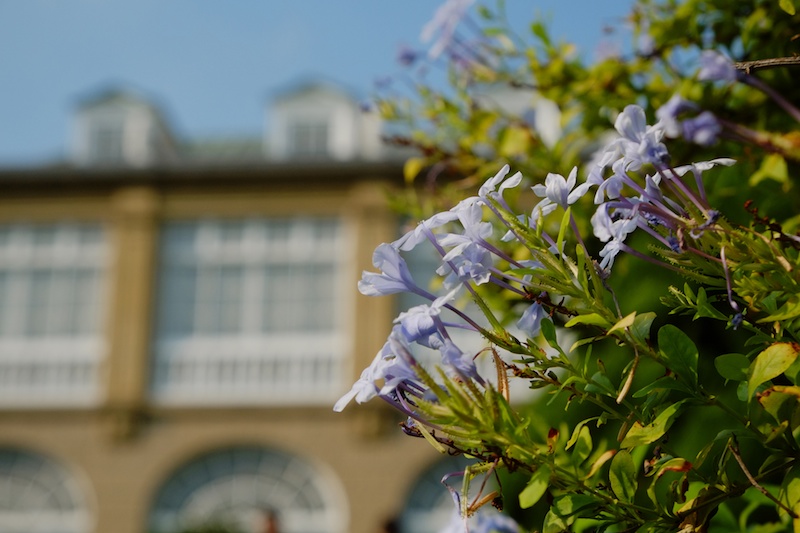 撮影：るーchanさん「今回撮影した鳩山会館は、外観だけでなく館内も撮影ＯＫでしたので、ステキなステンドグラスやアンティークな雰囲気のインテリアなどが撮影でき、とても楽しかったです。X-E1ならではの設定を最初にミゾタユキ先生に教えていただき、効率よく面白い写真を撮ることができました」