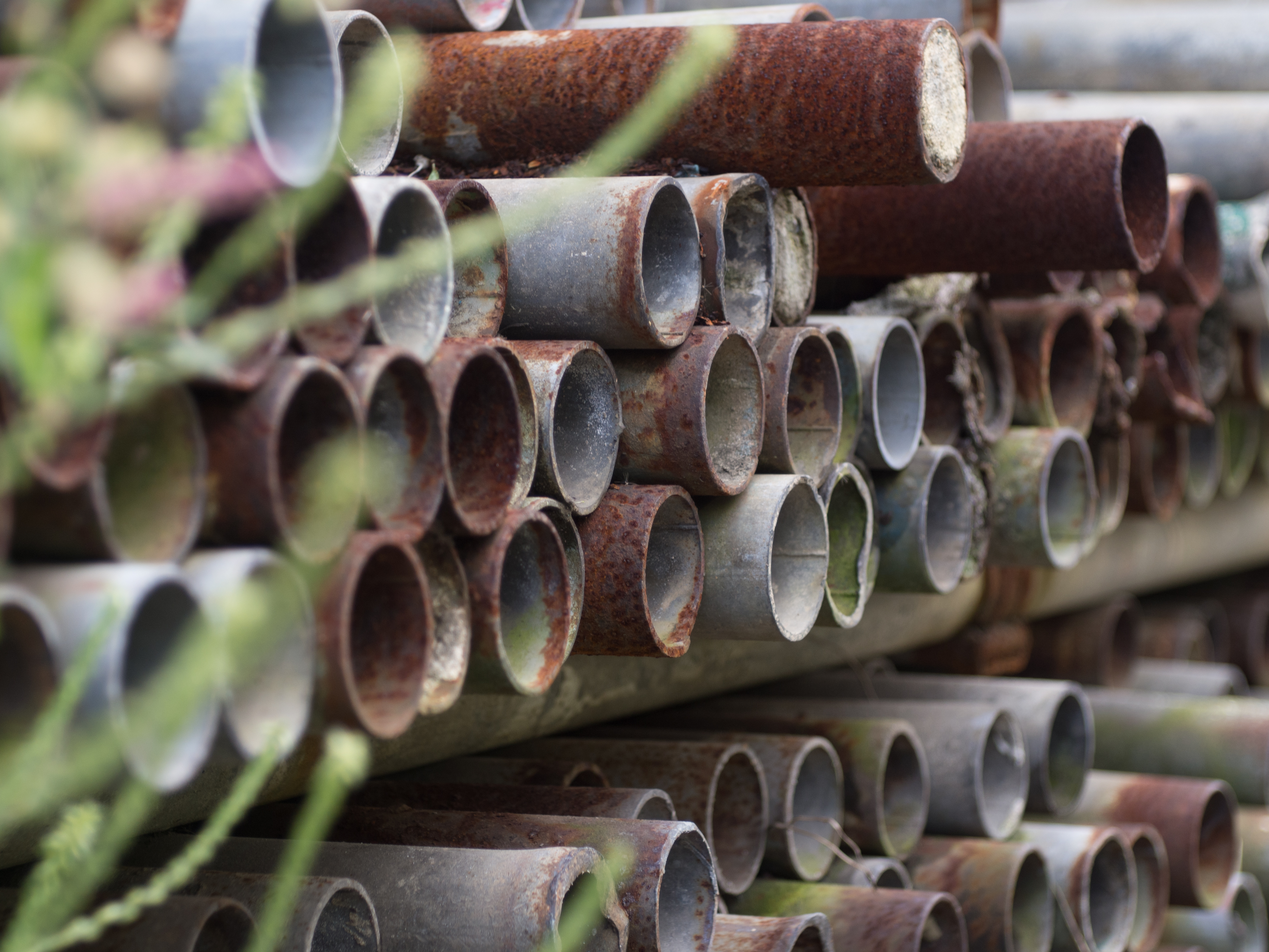 PEN E-P5 / Elmar 5cm F3.5 / 4,608×3,456 / 1/160秒 / F3.5 / -0.7EV / ISO200 / WB:オート / 50mm