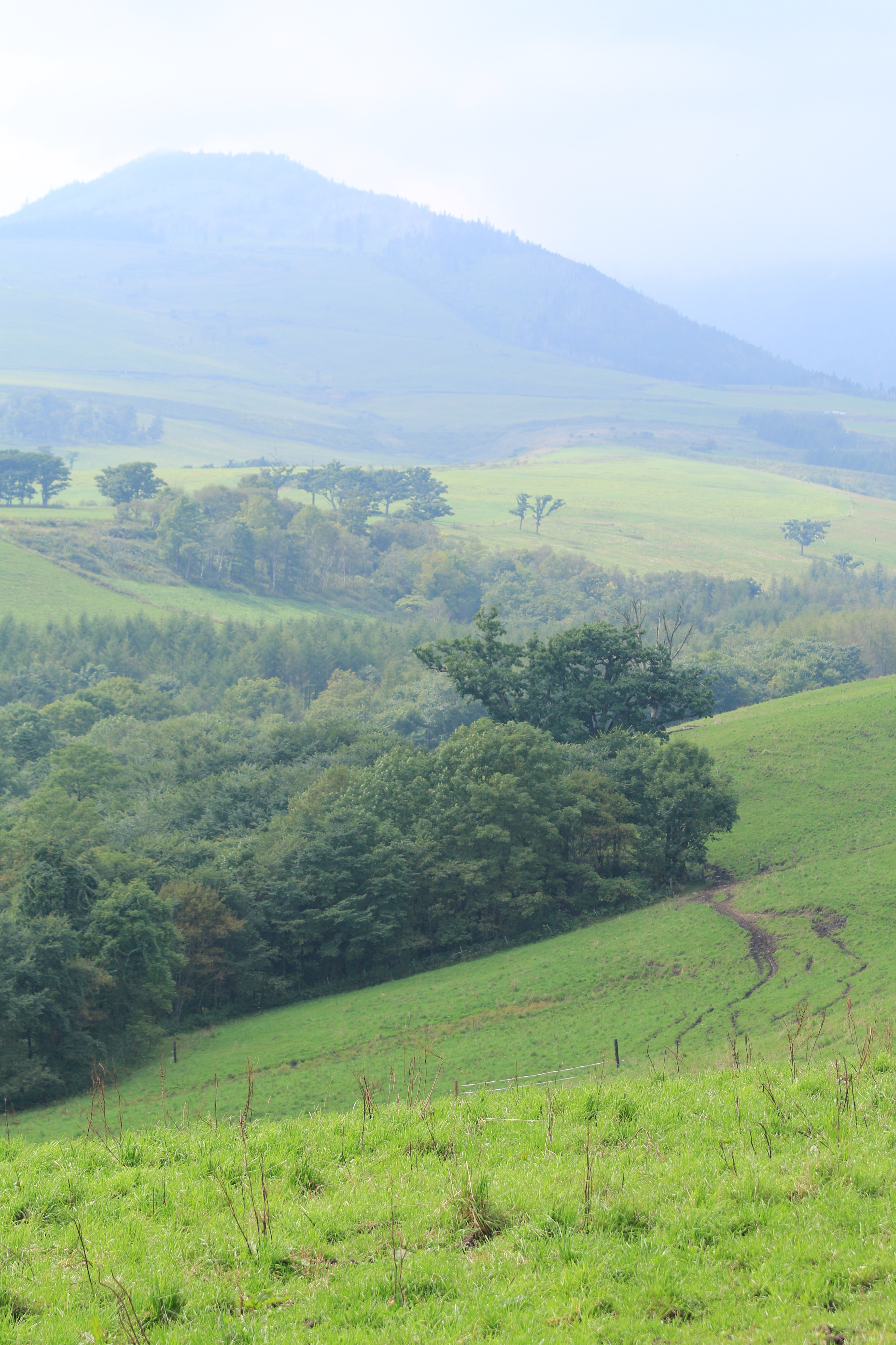 広大な敷地面積を誇る高原の牧場。山の向こう側までも牧草地といのこと。この日は全体にガスが出ていて遠方が霞んでみえるが、望遠レンズで切り取ることで得られるボケとの混じり合いにより湿度を感じる写真となった。EF 70-200mm F4 L IS USM / 1/320秒 / F5.6 / +0.3EV / ISO100 / 絞り優先AE / WB：太陽光 / 70mm