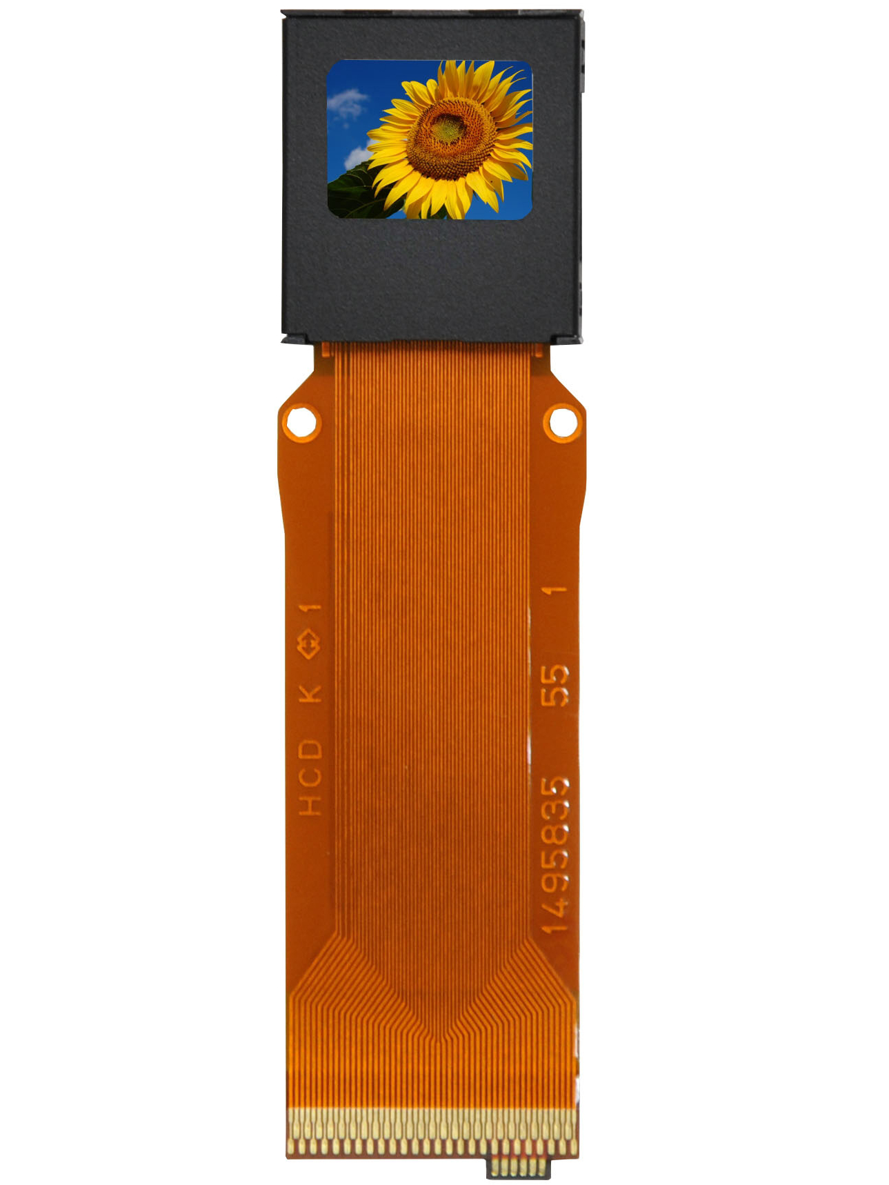 E-M1に搭載されたアルティミクロン