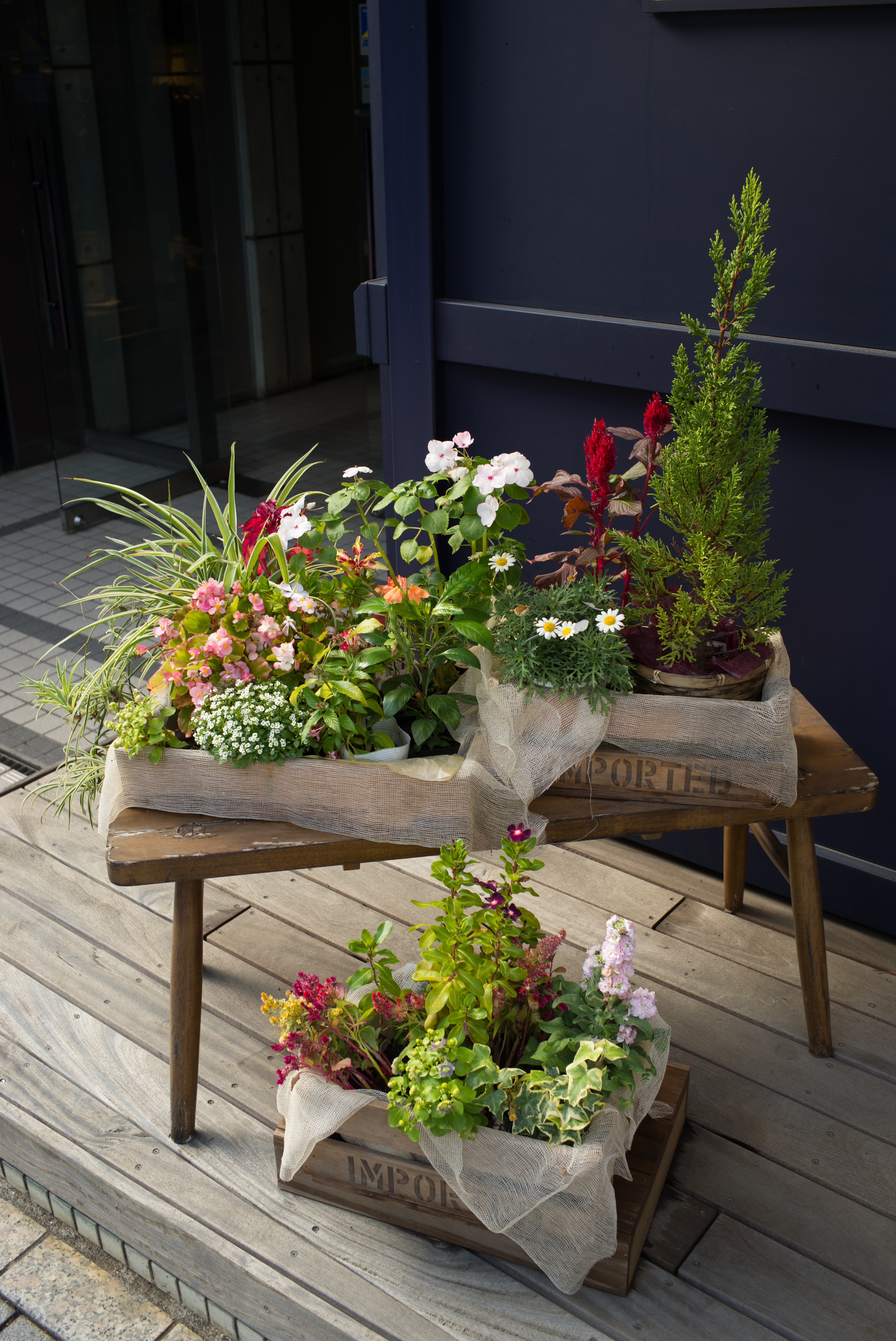 SUMMARIT-M f2.5/35mm / 1/60秒 / F5.6 / 0EV / ISO200 / 絞り優先AE / 35mm