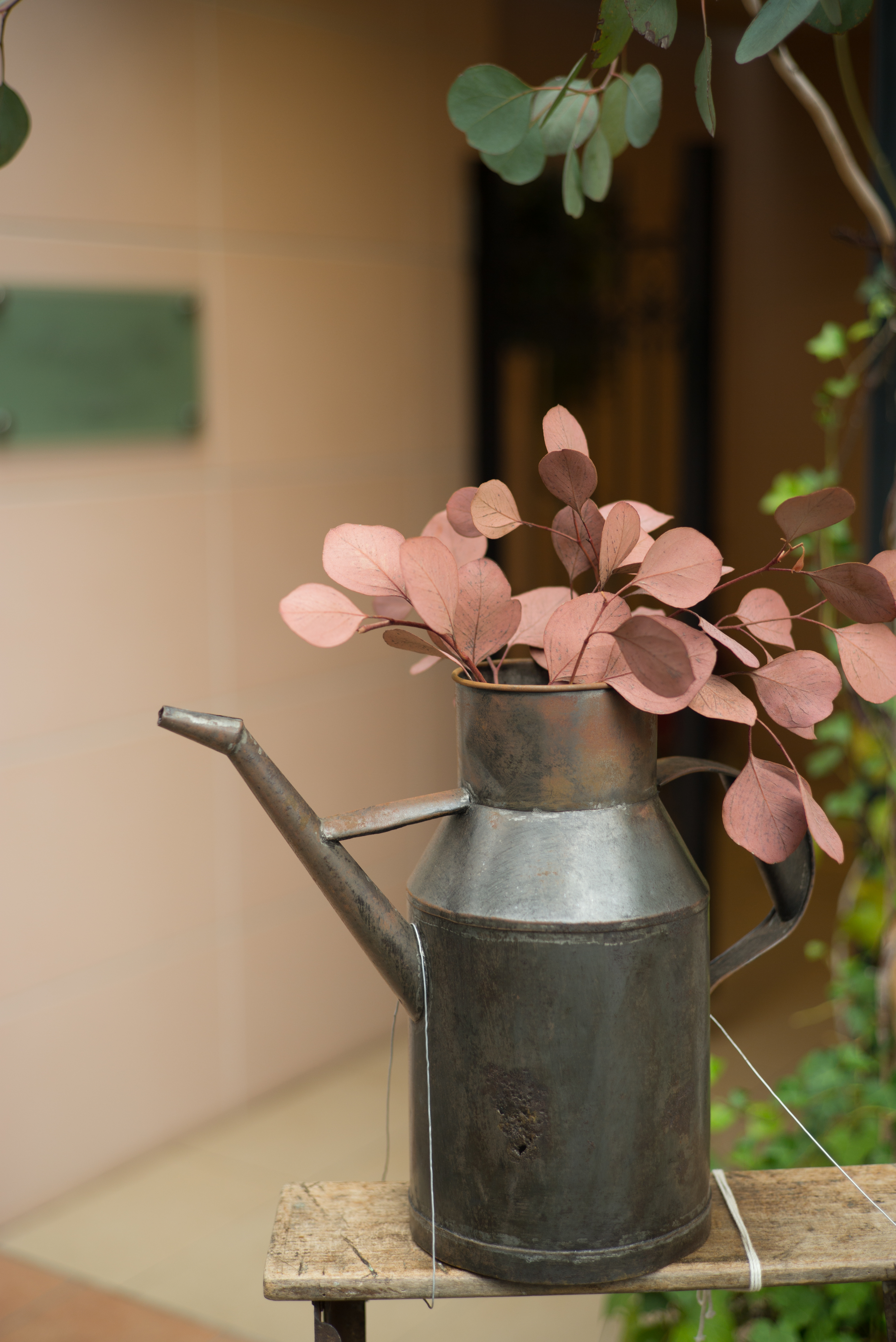 SUMMARIT-M f2.5/50mm / 1/90秒 / F2.5 / 0EV / ISO400 / 絞り優先AE / 50mm