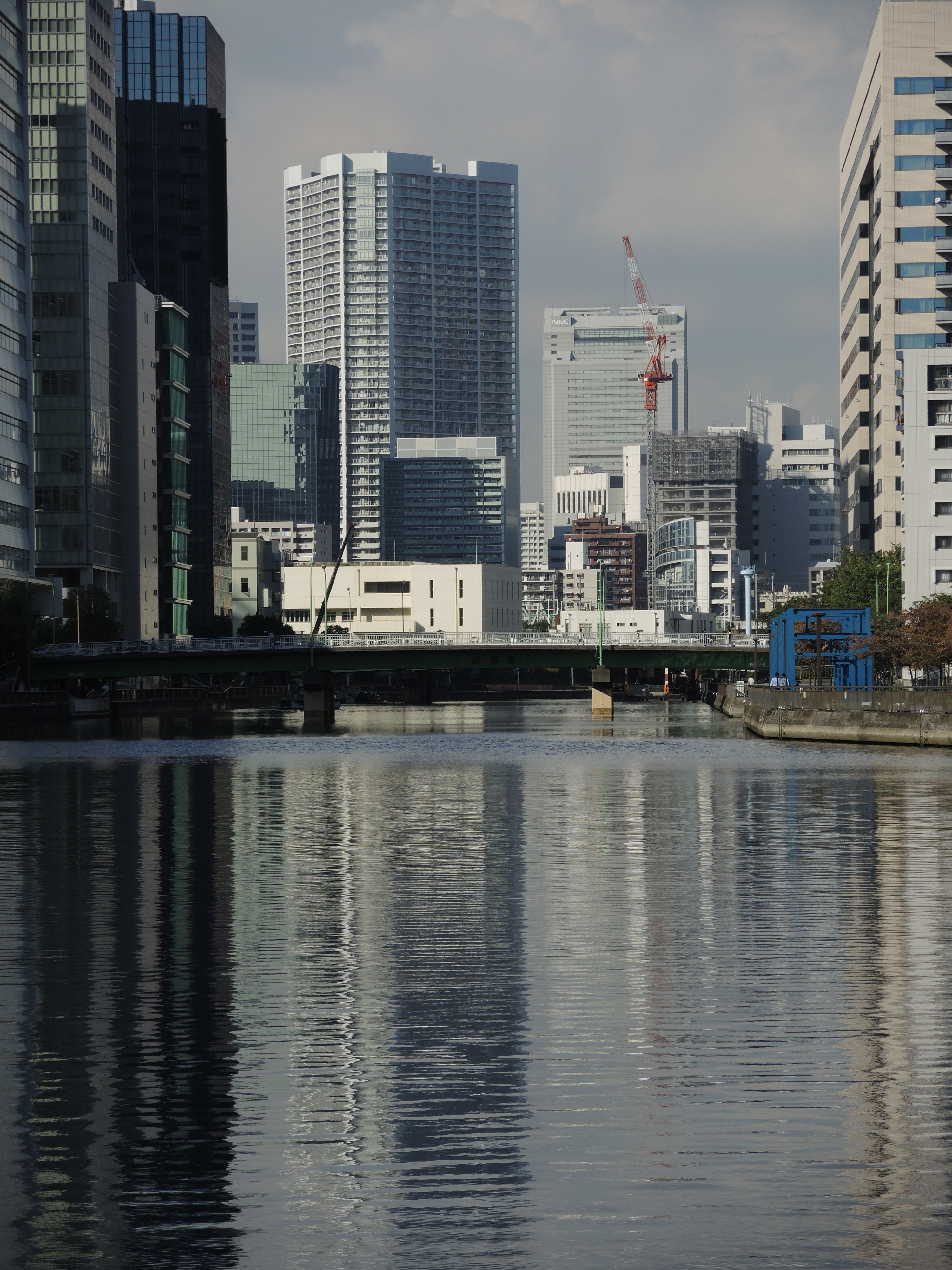 COOLPIX P7800 / 3,000×4,000 / ISO80 / F3.5 / 1/1,250秒 / 32.6mm（152mm相当）