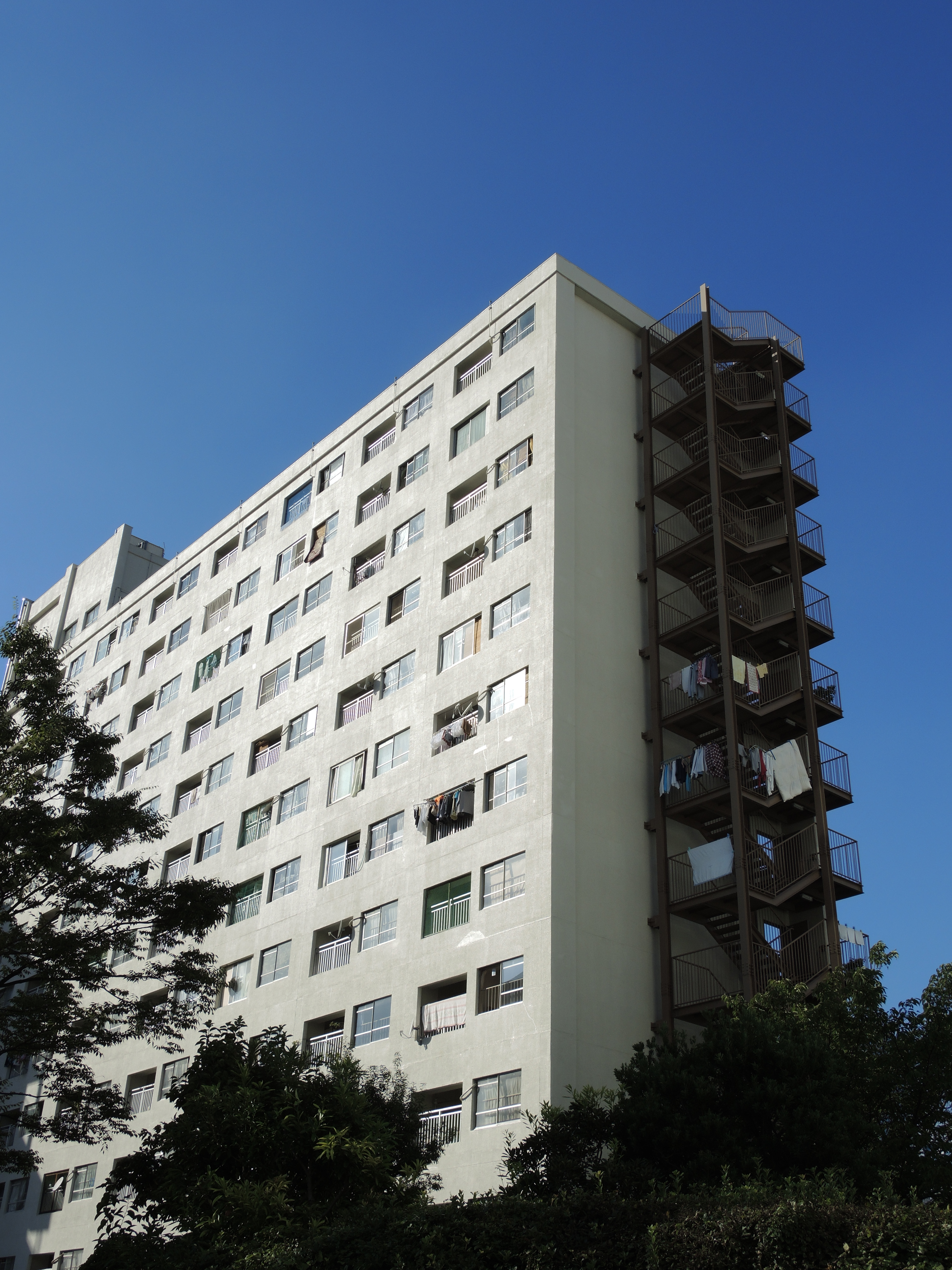 COOLPIX P7800 / 3,000×4,000 / ISO80 / F4.5 / 1/1,000秒 / 7.6mm（35mm相当）