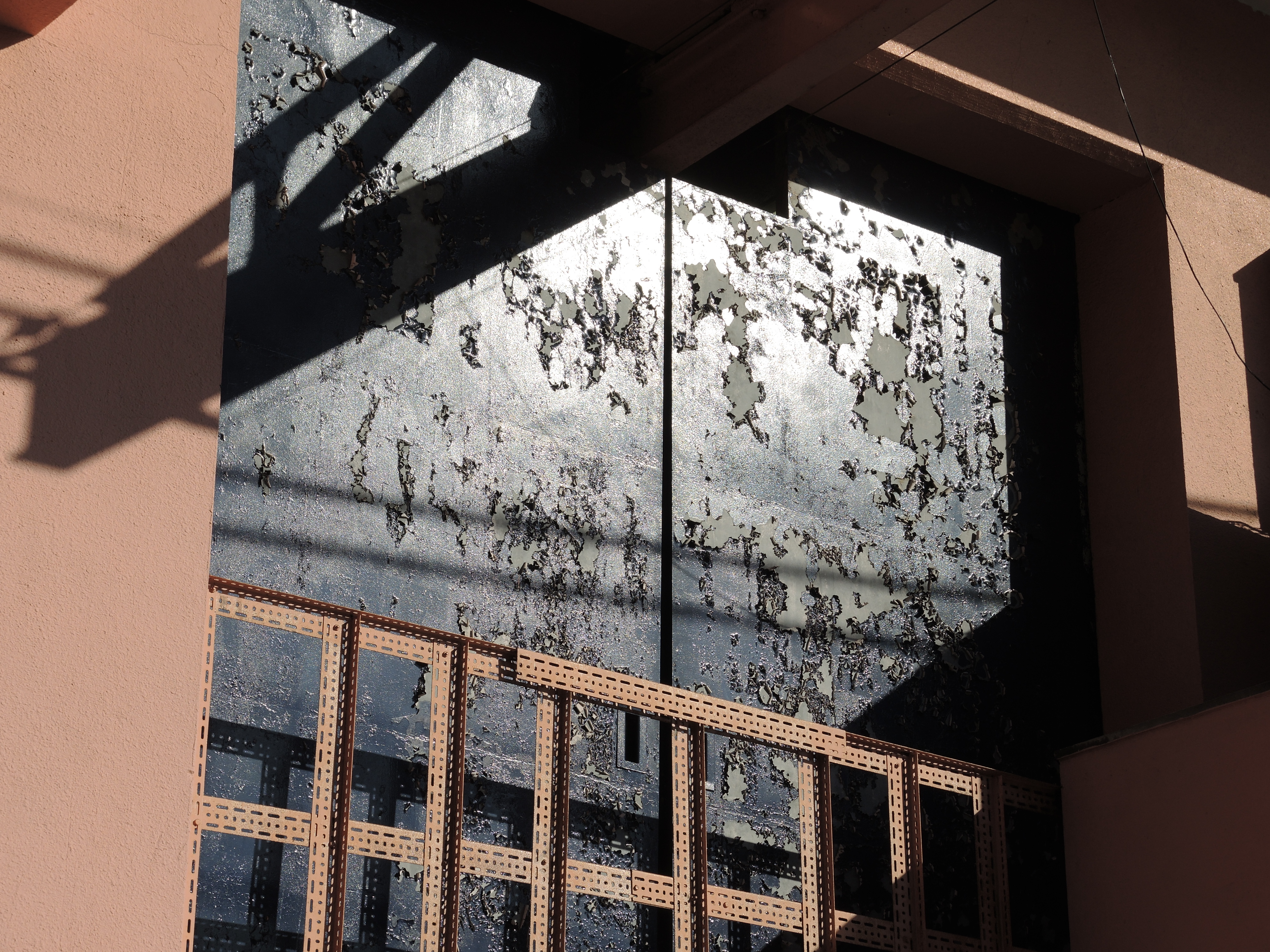 COOLPIX P7800 / 4,000×3,000 / ISO80 / F4 / 1/1,250秒 / 17.7mm（85mm相当）