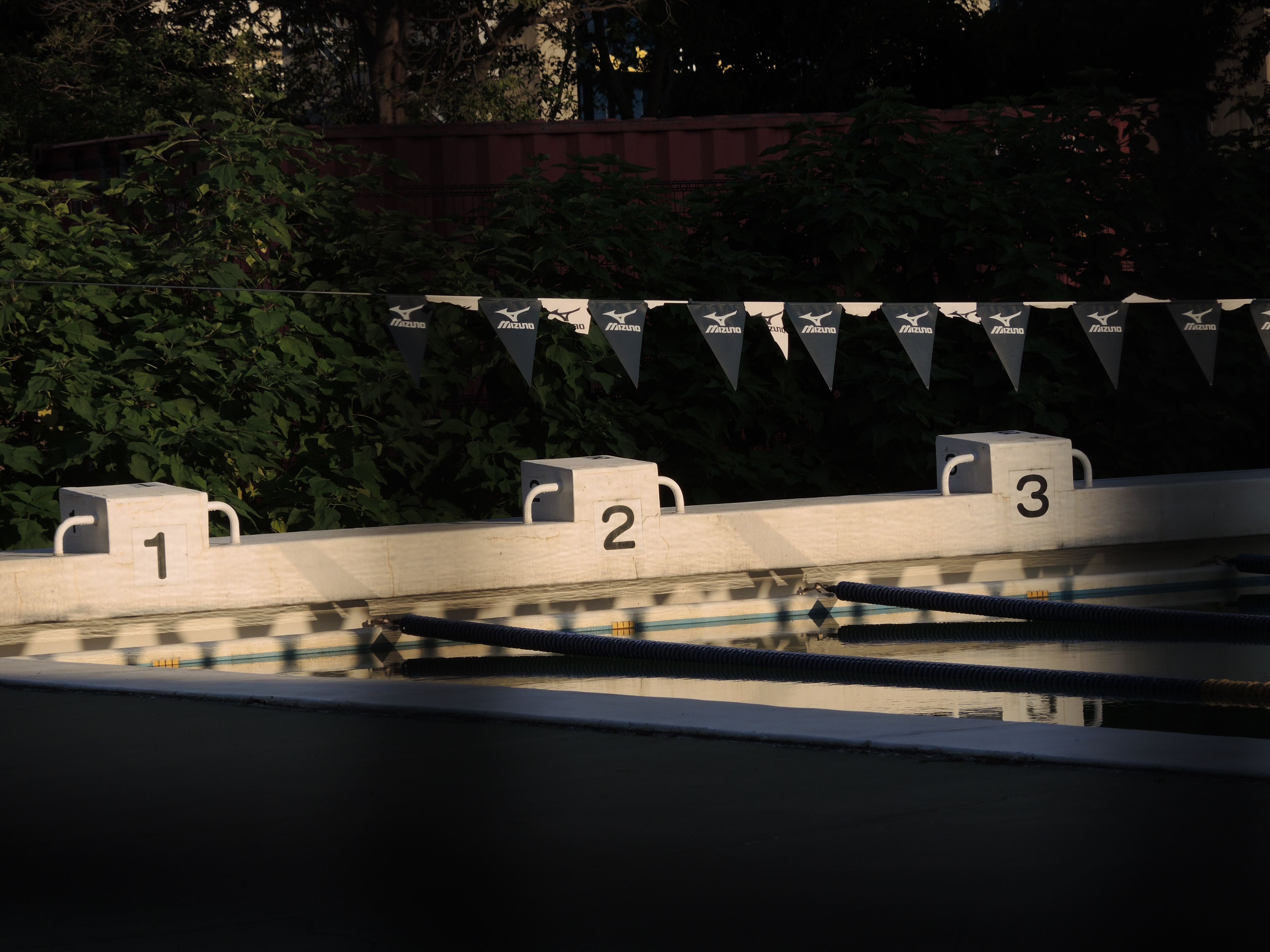 COOLPIX P7800 / 4,000×3,000 / ISO80 / F3.5 / 1/1,000秒 / 32.6mm（152mm相当）