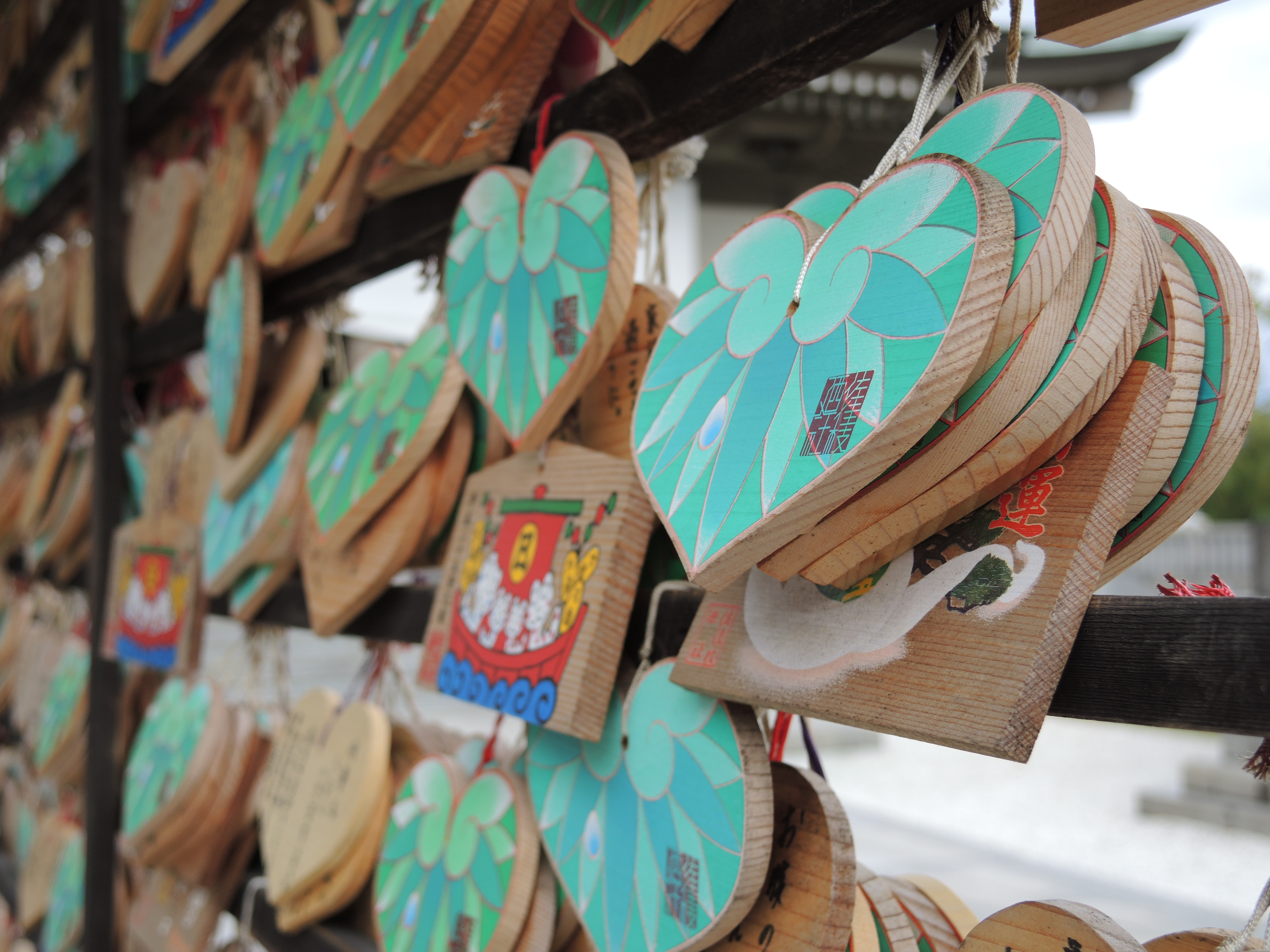 COOLPIX P7800 / 4,000×3,000 / ISO80 / F2.5 / 1/320秒 / 9.9mm（46mm相当）