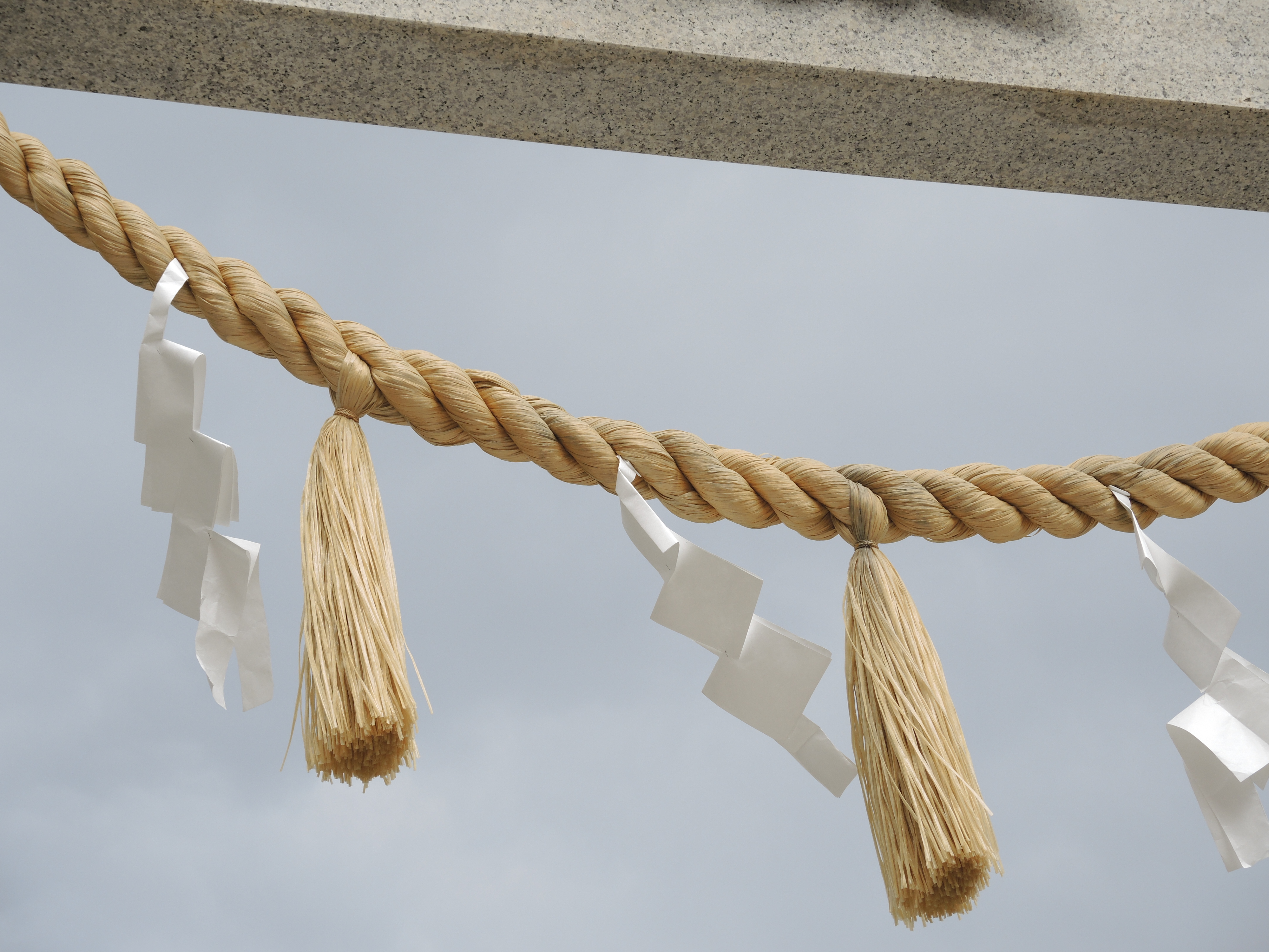 COOLPIX P7800 / 4,000×3,000 / ISO80 / F3.2 / 1/500秒 / 19.7mm（92mm相当）