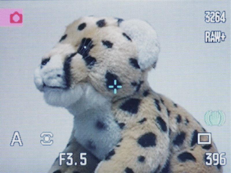 AFによるピント合わせのAFフレームのモードは、ワイドフォーカスフレーム（左）、ローカルフォーカスフレーム（中）、フレックスフォーカスポイント（FFP、右）の3種類。十字キー中央の実行ボタンを押し、グリップ上部のダイヤル操作でモードを切り替える