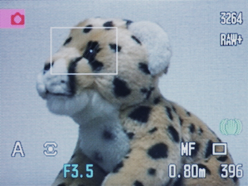 マニュアルフォーカスモードは、ボディ側面のフォーカスモードボタン「AF/M」を押してMFを選択する。そして、フォーカスリングを回転させると画面の一部分が拡大されるので（全画面上の枠で囲まれた部分）、その拡大表示を見ながら手動でピント合わせをおこなう。画面右下にピント位置までの距離（目安）が数値で表示されるあたりが通っぽい!