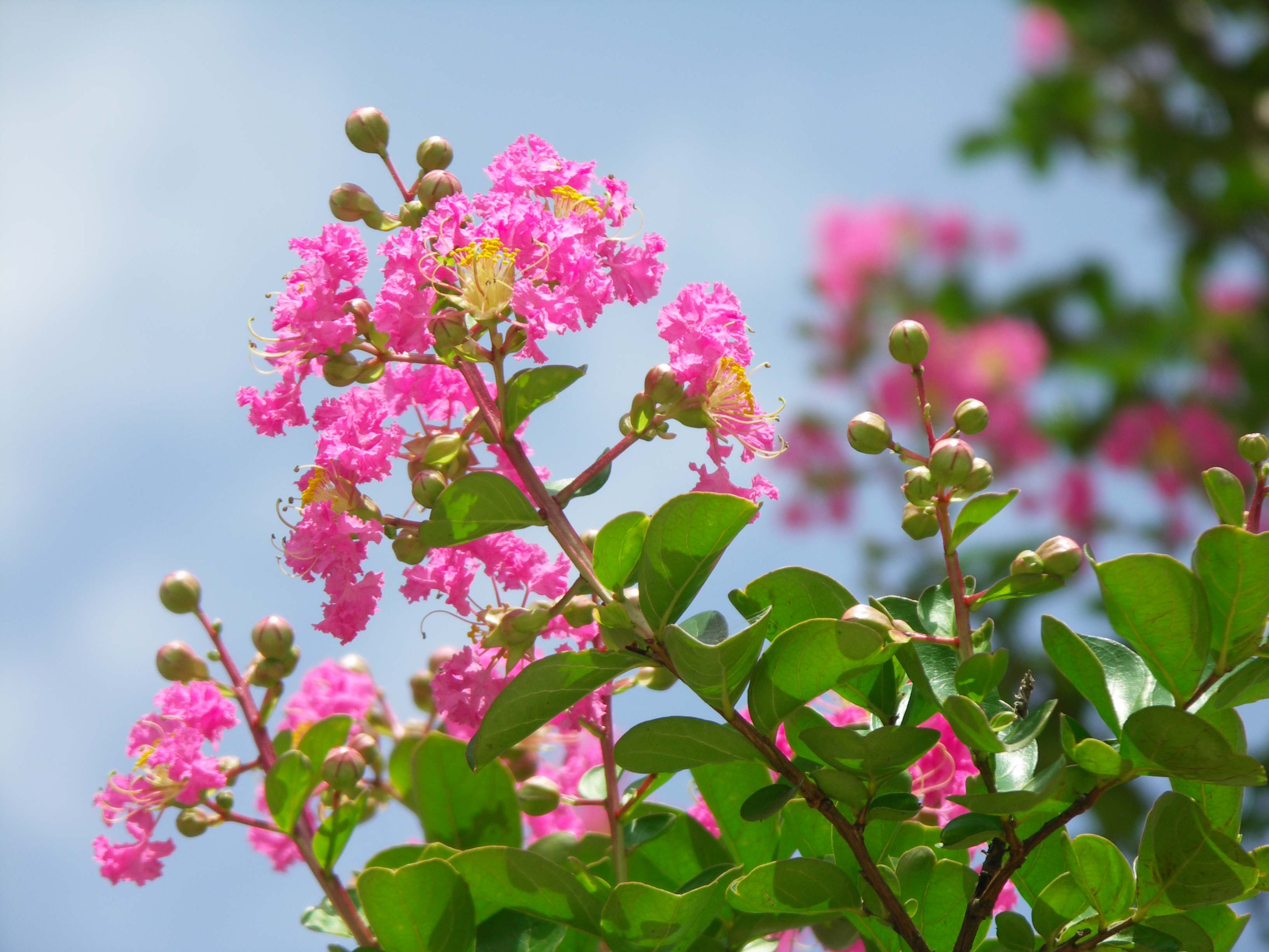 F3.5（開放絞り）で撮影