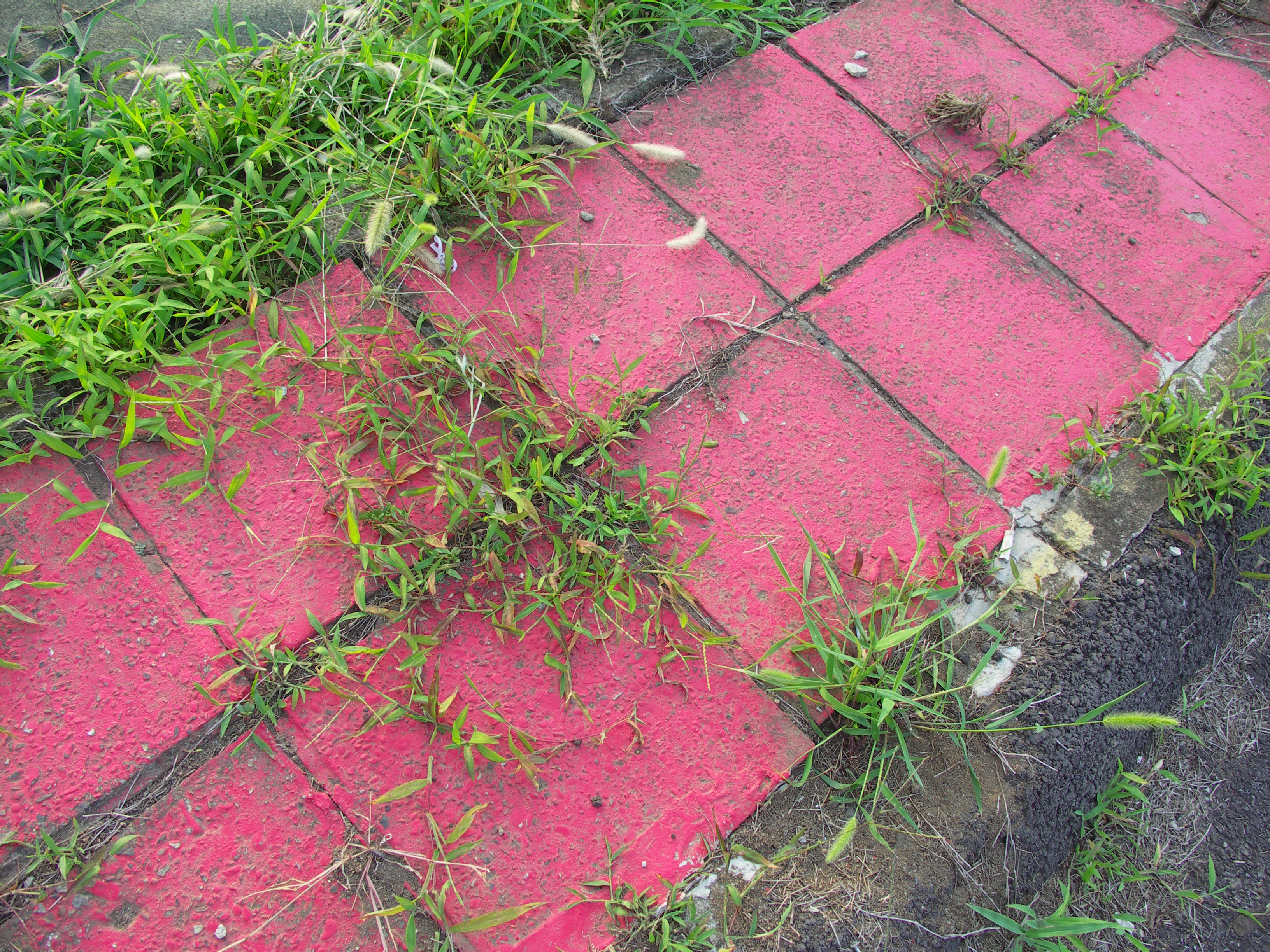 DiMAGE A200 / 3,264×2,448 / ISO100 / F4.5 / 1/50秒 / 7.2mm（28mm相当）