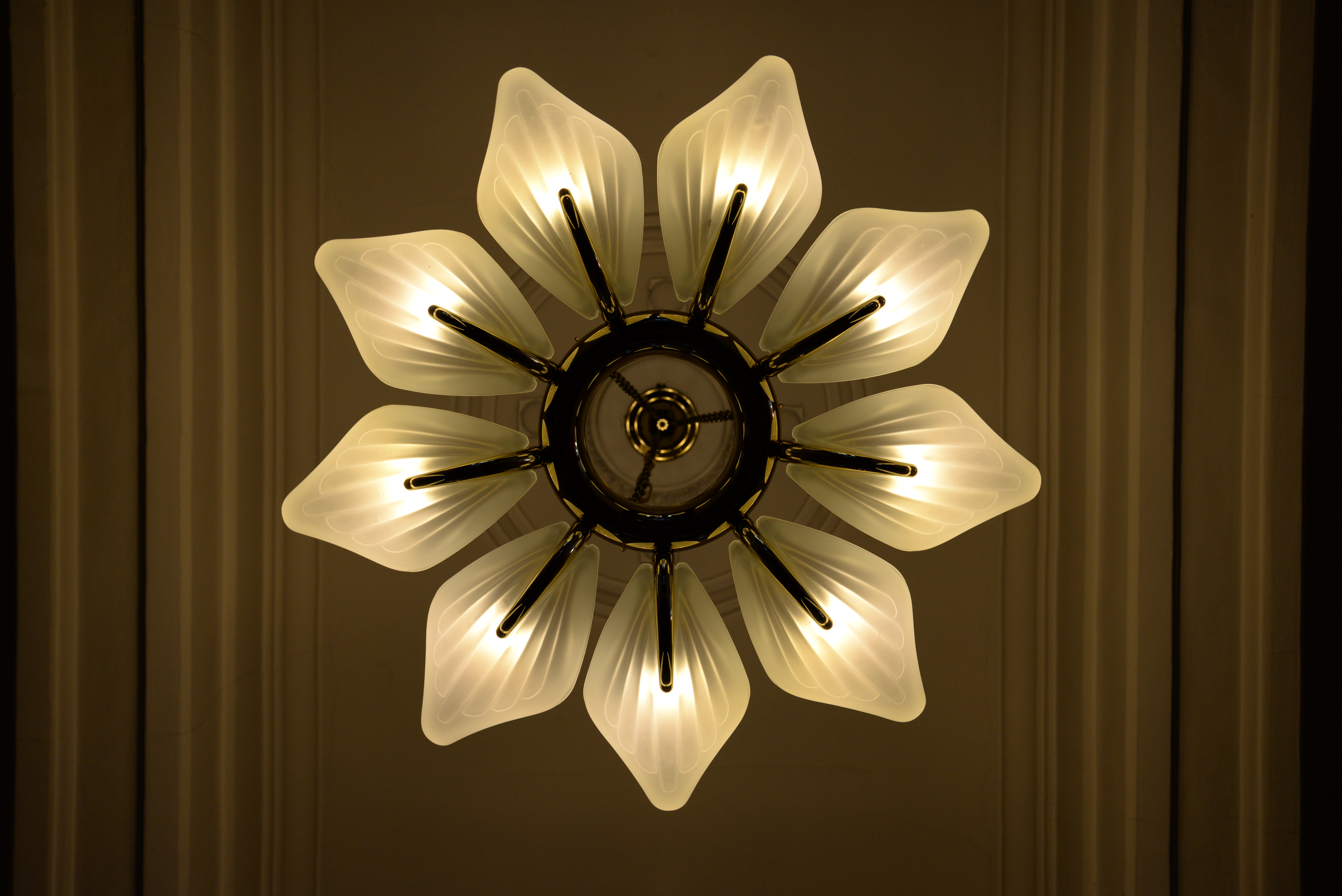 照明の色温度が低いと「AUTO1」のほうがいいケースもあるけど、ここは「AUTO2」でちょうどよかった。/ D610 / AF-S NIKKOR 24-85mm F3.5-4.5 G ED VR / 6,016×4,016 / ISO800 / F5.6 / 1/320秒 / 32mm