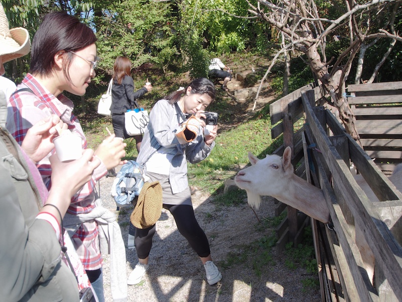 <a href="http://www.jelato-donna.com/" class="n" target="_blank">ジェラート工房ドナ</a>。絞りたてのミルクで作られたジェラートを食べることができます。牧場が併設されており、ヤギや馬などの家畜も飼われています。ヤギはカメラ女子に大人気でした。