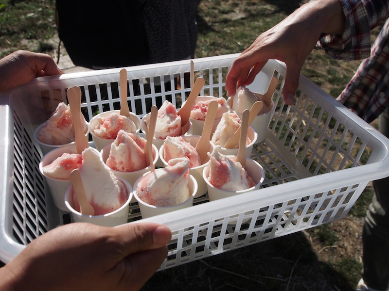 ダリアの花びらを練りこんだピンクのジェラートが参加者全員にふるまわれました。カップの裏に、キャメラびとの「きゃ」印が付いているジェラートは当たり♪ 当たりのジェラートを引いた参加者には、後日キャメラびとからの直筆メッセージポストカードが送られるそうです。