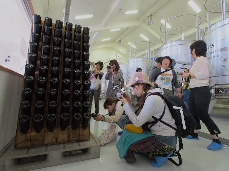 せら夢公園内のある、<a href="http://www.serawinery.jp/" class="n" target="_blank">せらワイナリー</a>で、普段は入ることができないワイナリー内を見学させてもらいました。金属製の大きな大きな貯蔵タンクや、キラキラ光るビンなどを撮影しました。世羅ワインは設立11年目。世羅の土地にあうブドウの品種を探し、ブドウ畑を作ることから始まったそうです。ワイナリーでは、ワインの試飲コーナーがあり、8種類のワインを飲み比べることができました。