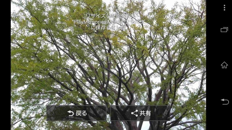 カメラ本体のほかにスマートフォン側にも撮影した画像を同時に保存することができ、カメラ側の画像を後からスマートフォンに送信することも可能だ。スマートフォンに画像を保存すればそのままSNSなどに画像をアップロードできて便利である。