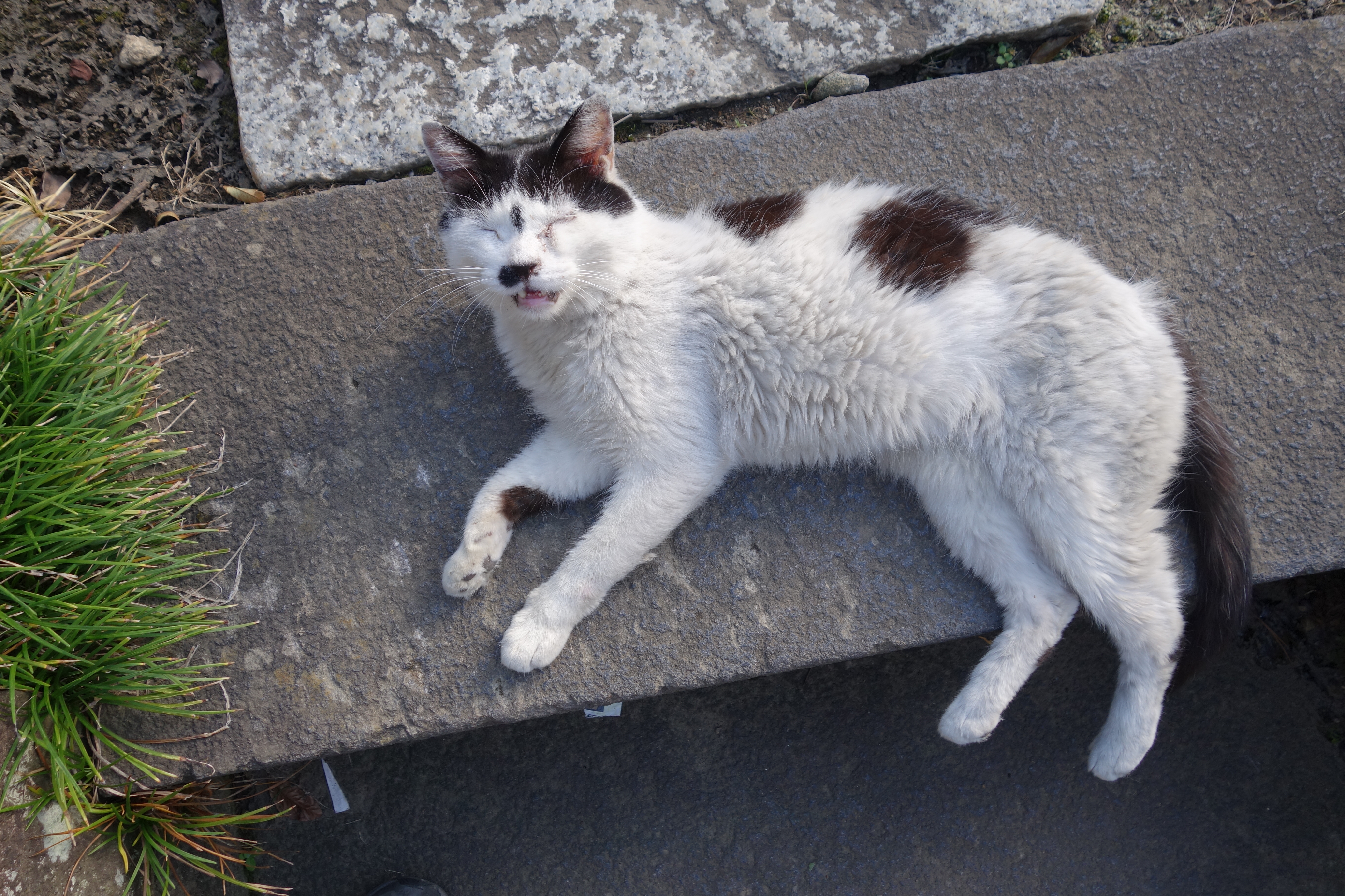 DSC-QX100 / 5,472×3,648 / ISO160 / F4 / 1/200秒 / 10.4mm（28mm相当）