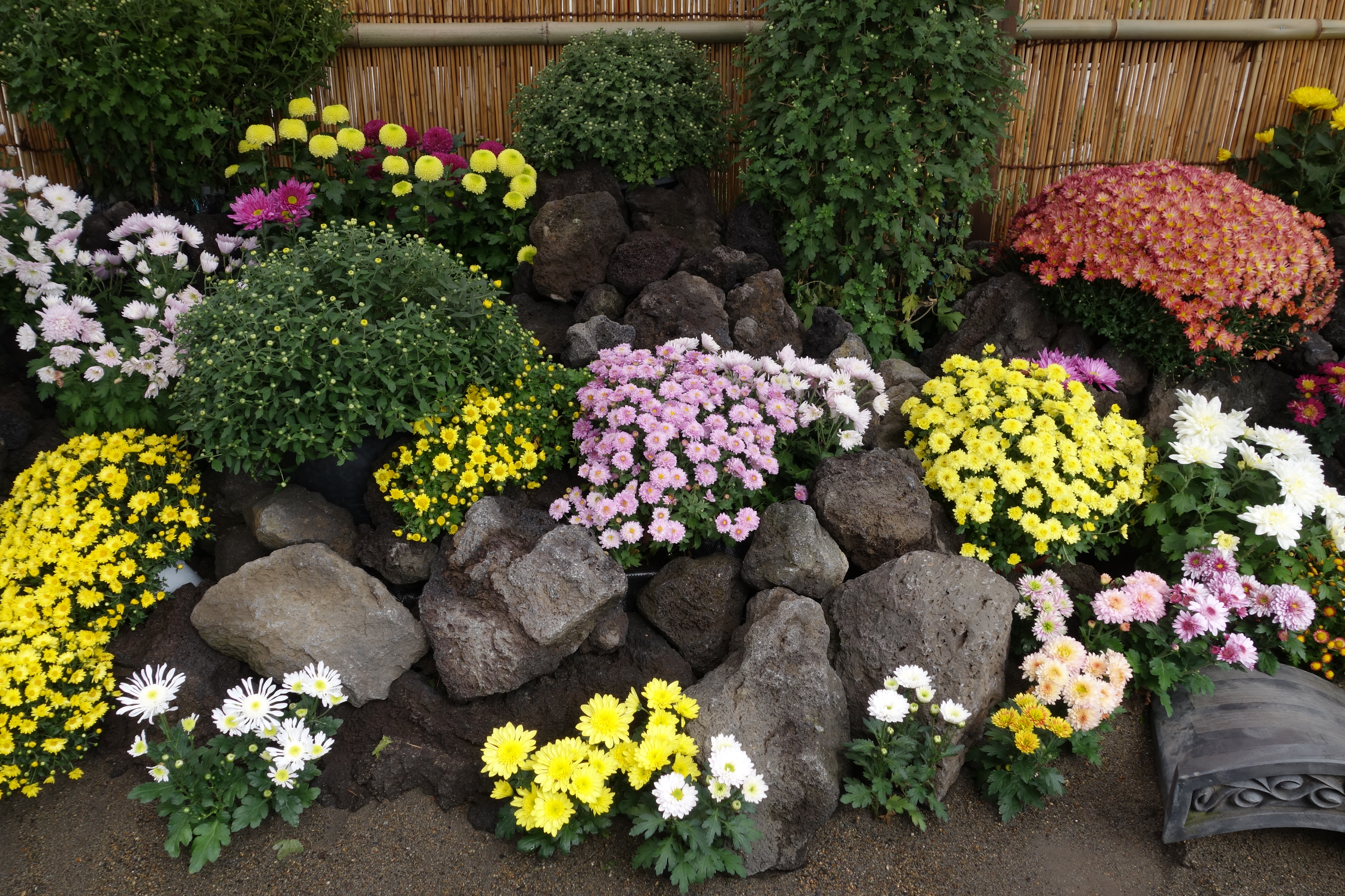 DSC-QX100 / 5,472×3,648 / ISO160 / F5.6 / 1/100秒 / 12mm（32mm相当）