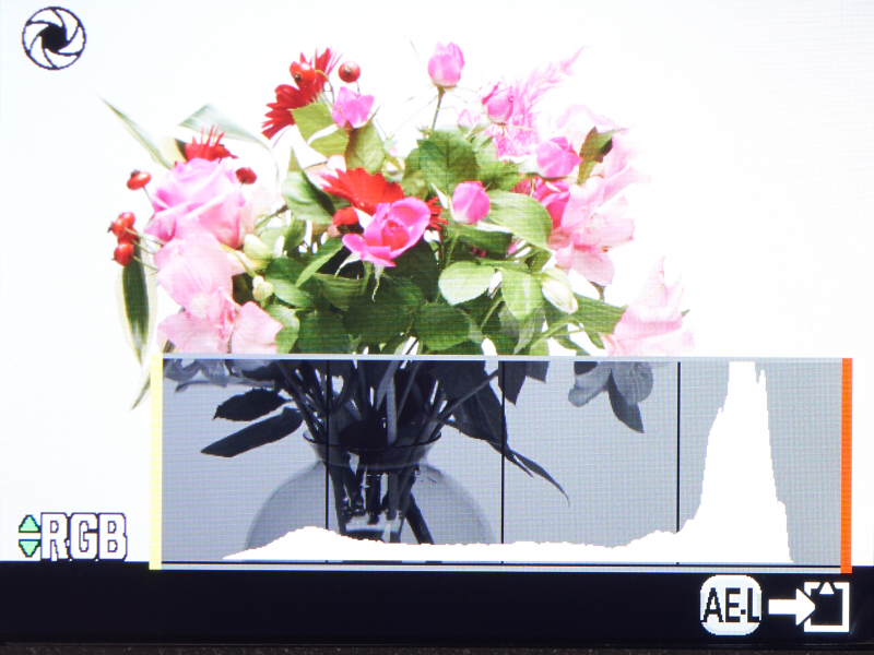 デジタルプレビューの画面。この例ではヒストグラムのオプションを有効に設定している。左上に出ている「絞り」をイメージしたアイコンが、表示されている画像がプレビューである（記録されたものではない）ことを示す。