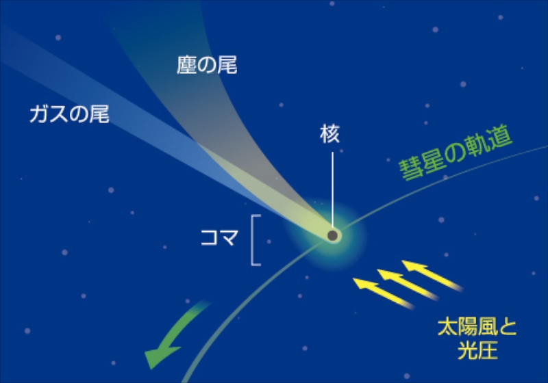<b class="">彗星の2種類の尾</b><br class="">彗星核から蒸発したガスの尾は青っぽい色で、太陽風（太陽から吹き出してくるプラズマ）に吹き流されて太陽と反対方向に伸びます。いっぽう、核から飛び出した塵は太陽の光（光子）の圧力で押し流されて尾を作ります。<br class="">彗星から揮発したガスは軽いのでほぼまっすぐ伸びますが、重い塵は彗星核からゆっくり離れていくため、いくらか後方にカーブを描くことになります。