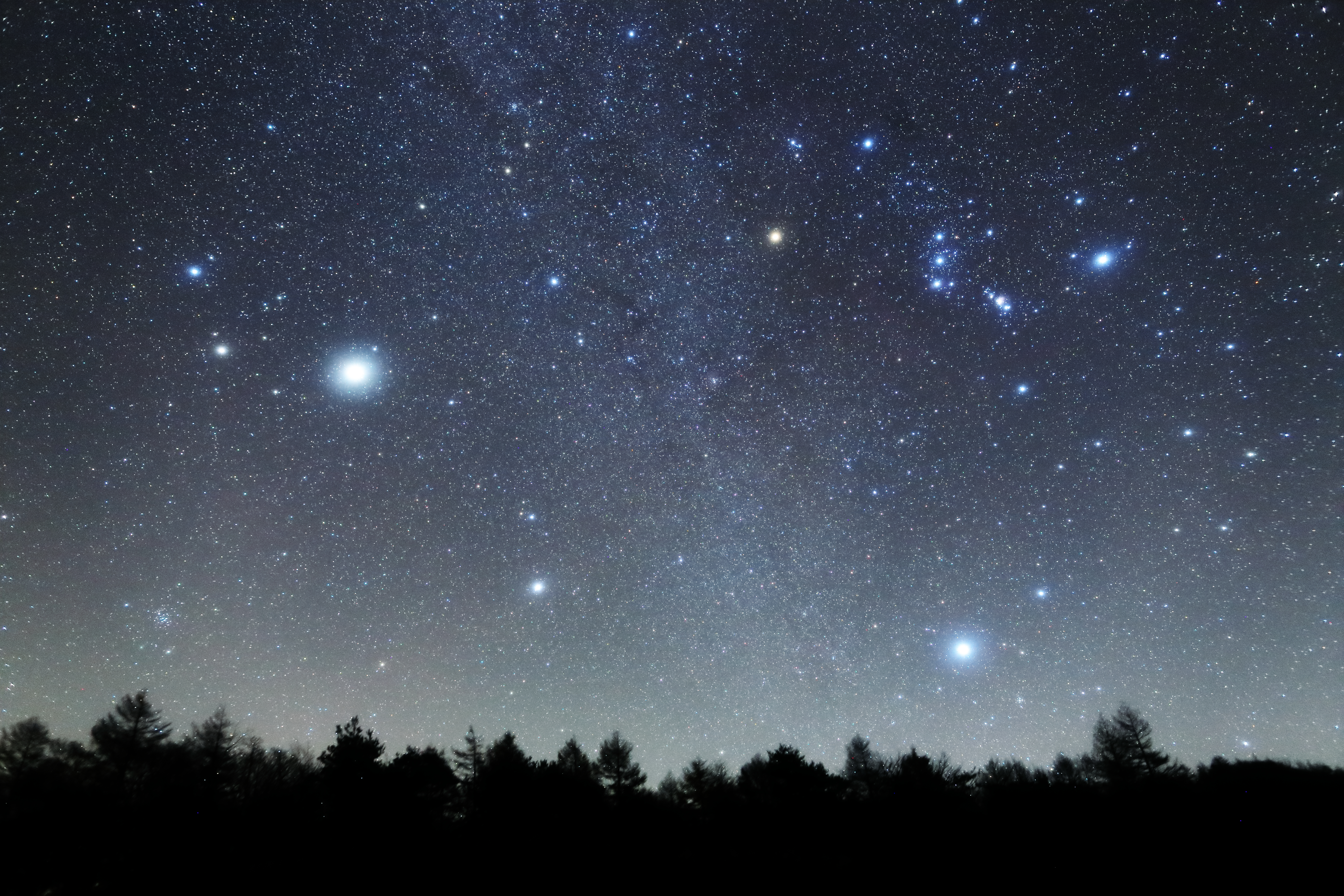 <b class="">ソフトフィルターの効果</b><br class="">左がソフトフィルターあり、右がソフトフィルターなし。東の空に昇ってきたオリオン座と冬の大三角。ふたご座の明るい星は木星です。画面中央を斜めに淡い冬の天の川が流れています。<br class="">EOS 6D / EF 24mm F1.4L II USM / F2.5 / 30秒 / ISO3200 / 追尾撮影