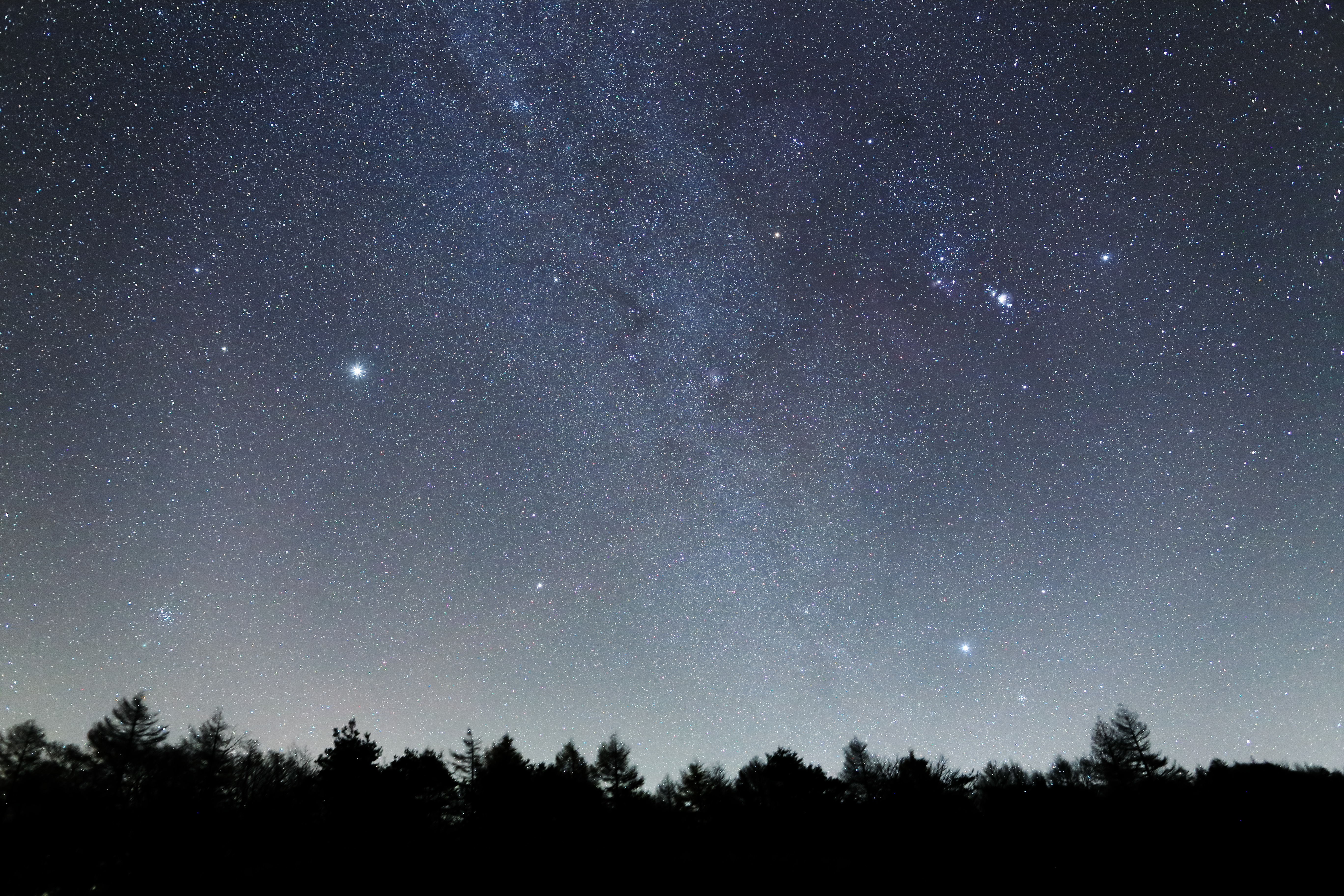 <b class="">ソフトフィルターの効果</b><br class="">左がソフトフィルターあり、右がソフトフィルターなし。東の空に昇ってきたオリオン座と冬の大三角。ふたご座の明るい星は木星です。画面中央を斜めに淡い冬の天の川が流れています。<br class="">EOS 6D / EF 24mm F1.4L II USM / F2.5 / 30秒 / ISO3200 / 追尾撮影