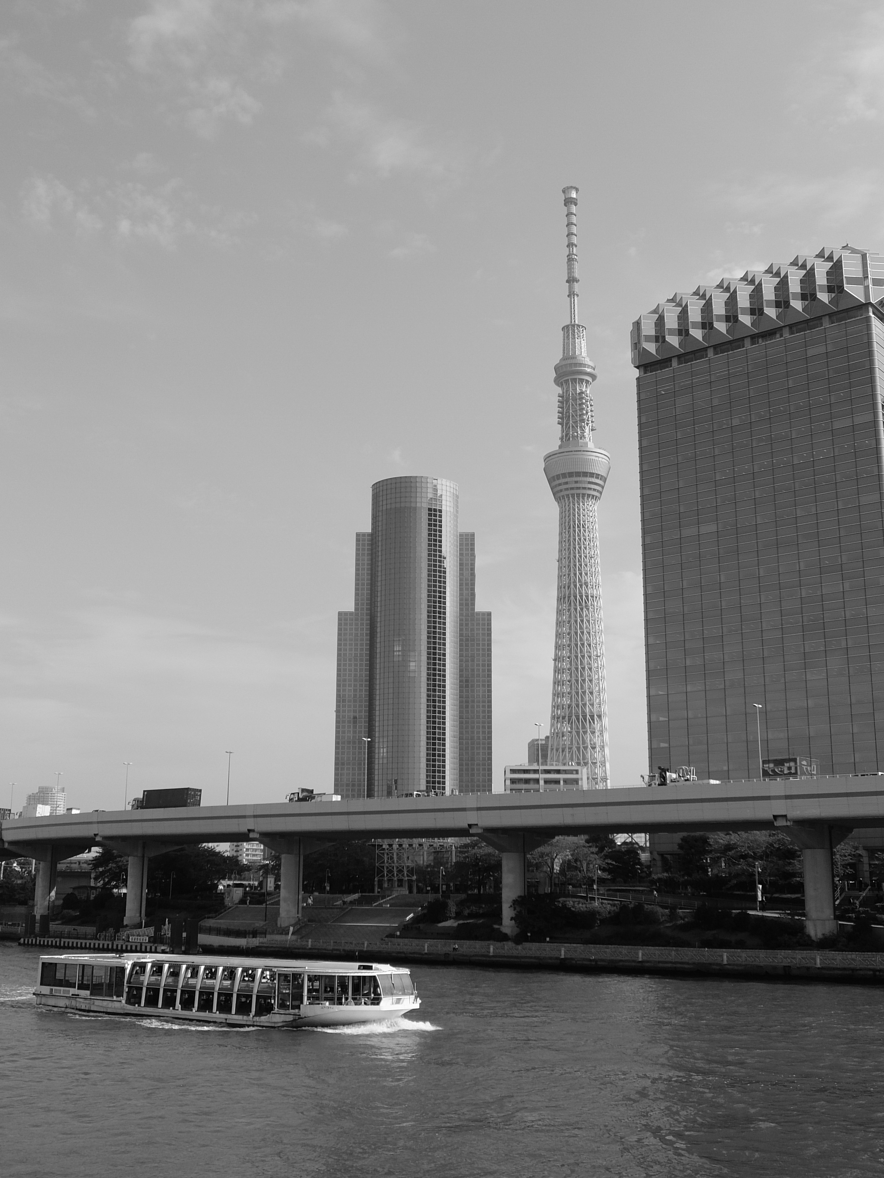 モノクロ+Gフィルター