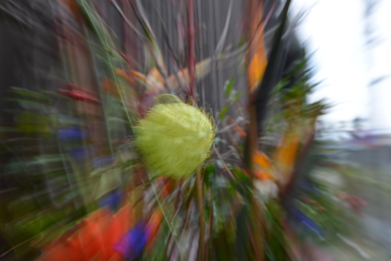 街中の静物もリングを回して撮ればなんだかドラマティックに（笑）