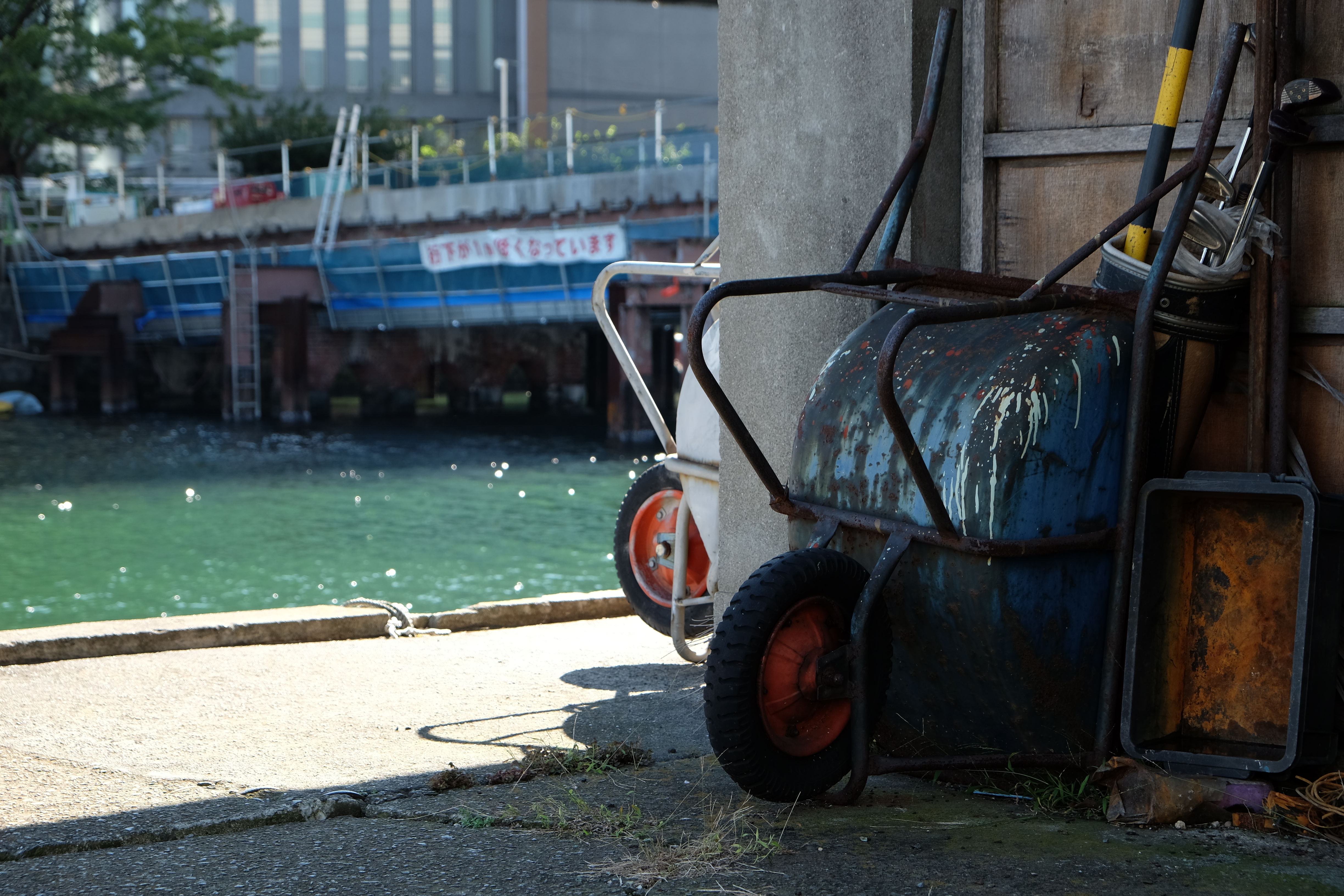 X-E2 / XF 18-55mm F2.8-4 R LM OIS / 4,896×3,264 / 1/110秒 / F5.6 / -0.67EV / ISO200 / WB:オート / 55mm