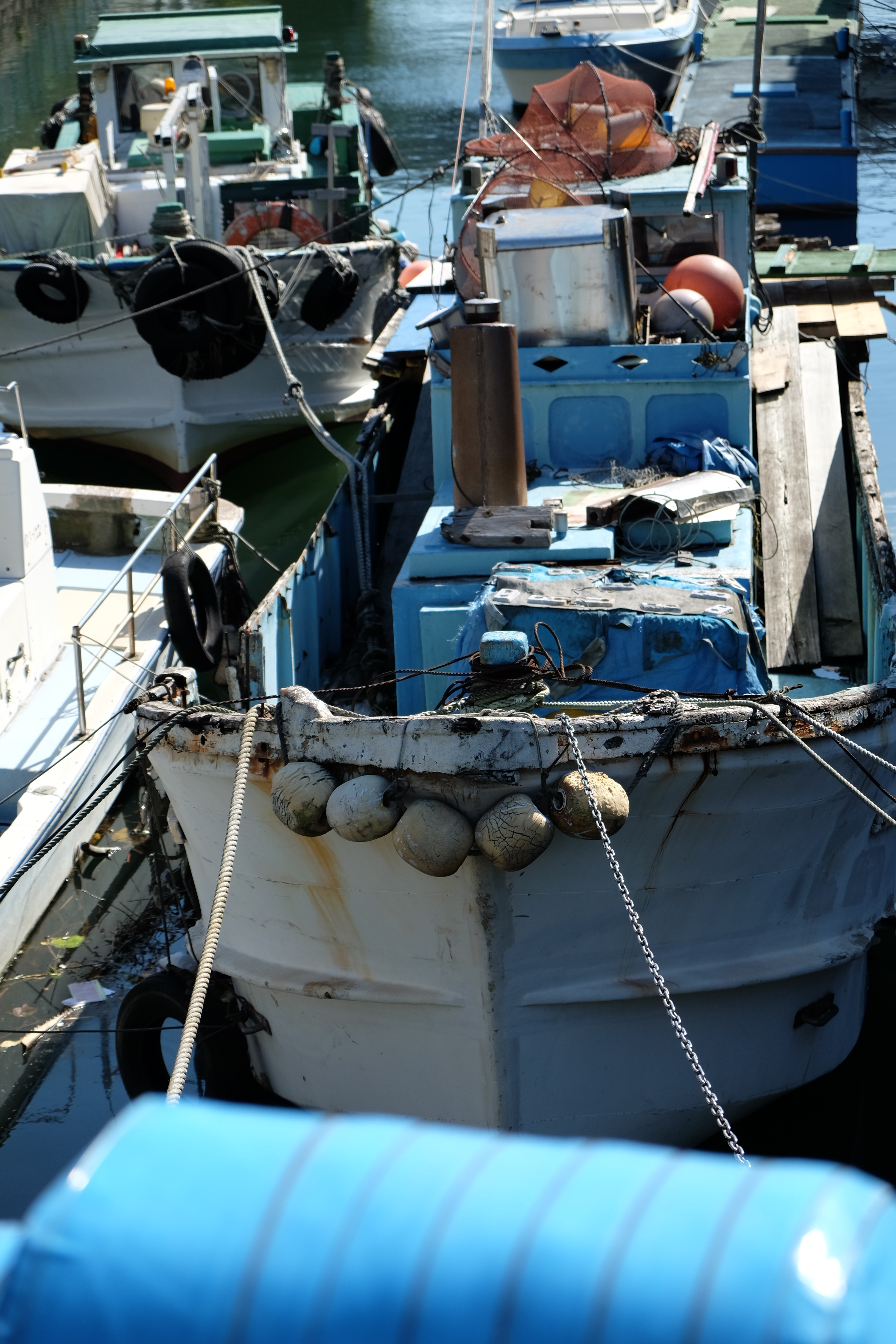 X-E2 / XF 18-55mm F2.8-4 R LM OIS / 4,896×3,264 / 1/1,000秒 / F4 / 0EV / ISO200 / WB:オート / 55mm