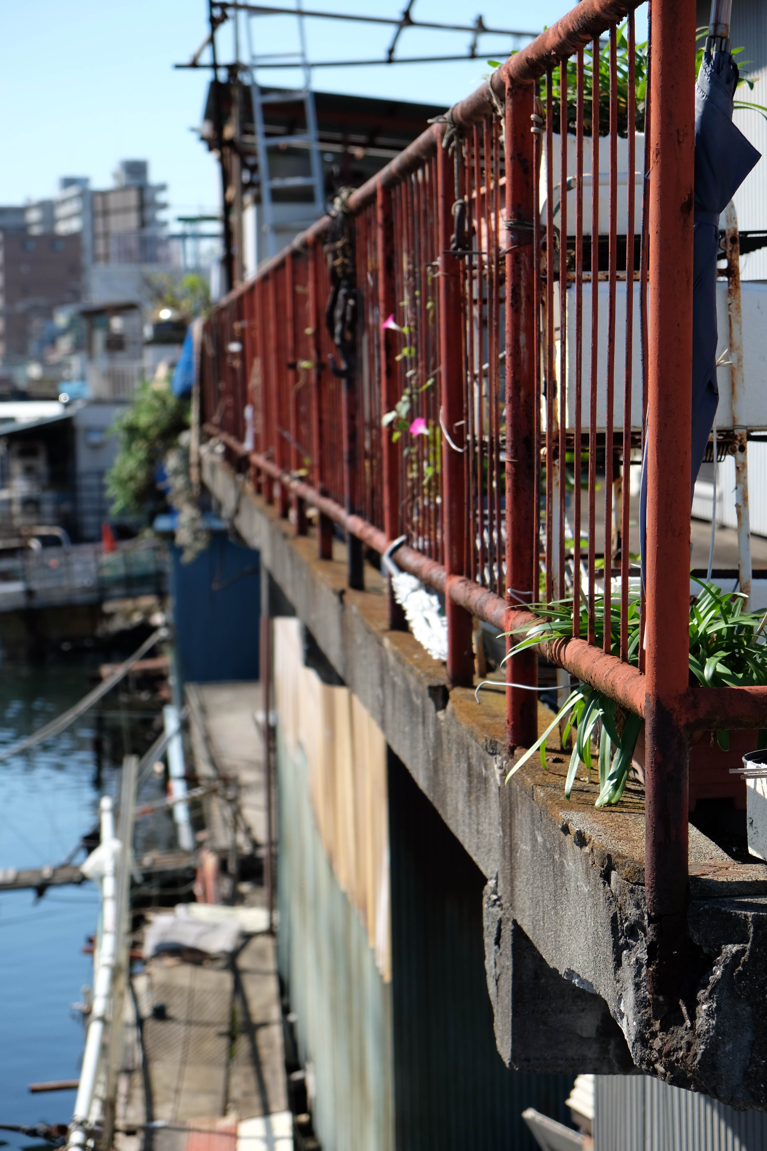 X-E2 / XF 18-55mm F2.8-4 R LM OIS / 4,896×3,264 / 1/1,000秒 / F4 / 0EV / ISO200 / WB:オート / 55mm