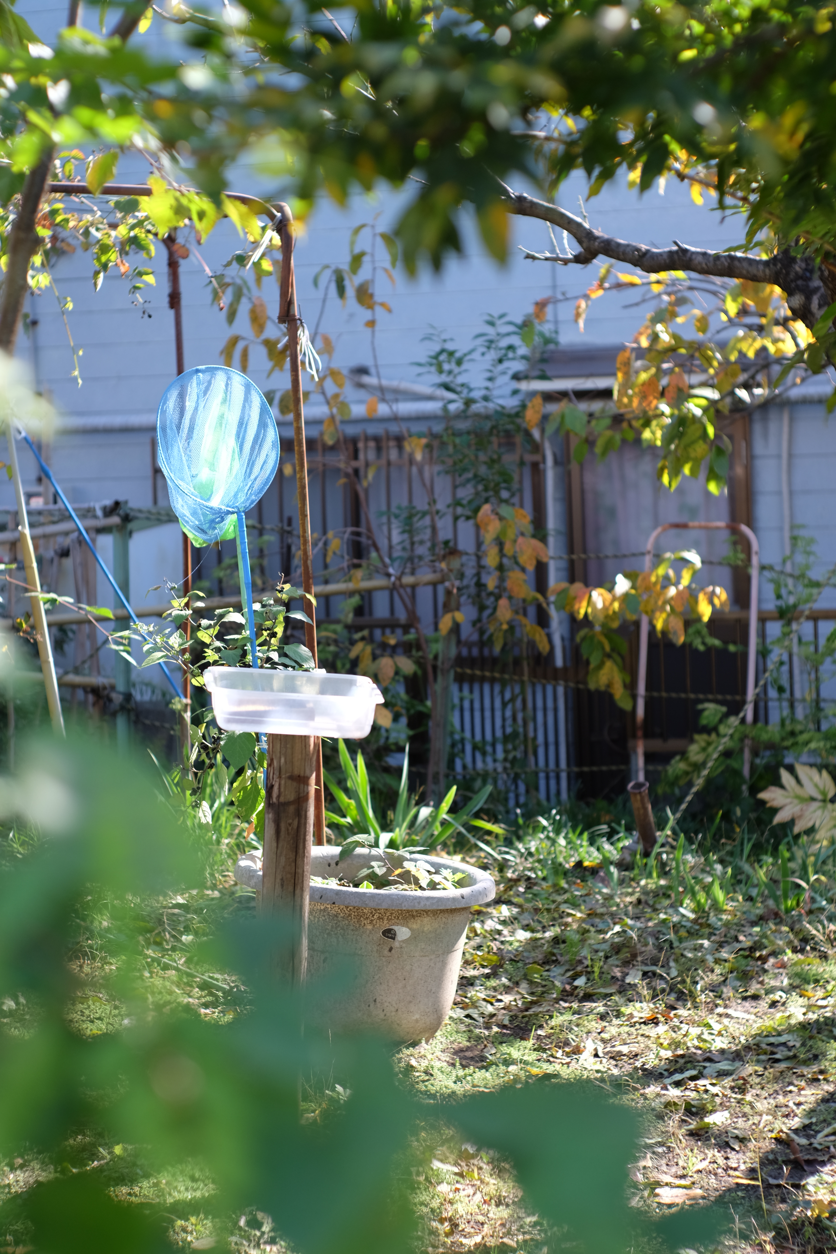 X-E2 / Summilux-M 50mm F1.4 / 4,896×3,264 / 1/450秒 / F2.8 / 0EV / ISO200 / WB:オート / 50mm