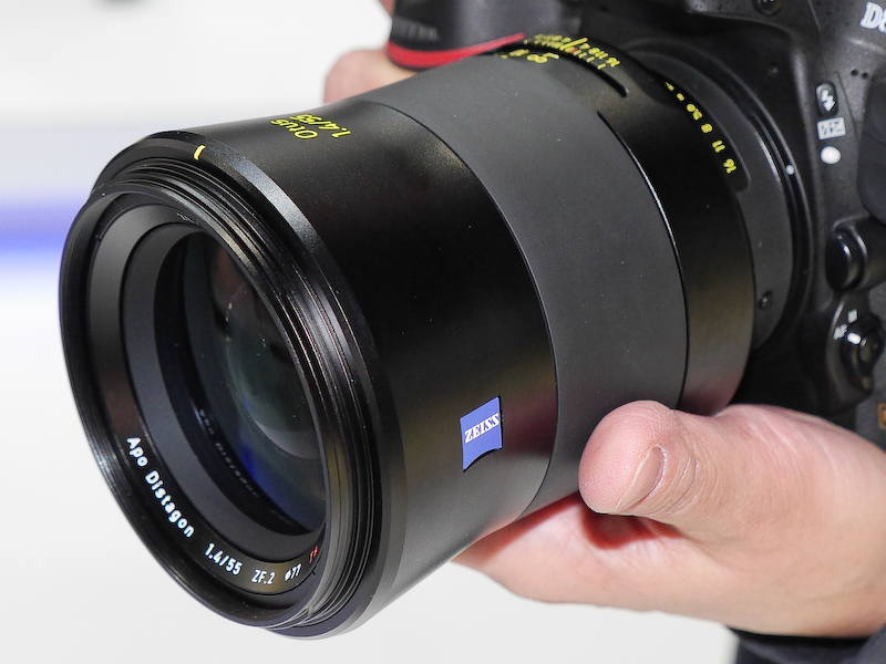 フードを外したところ。